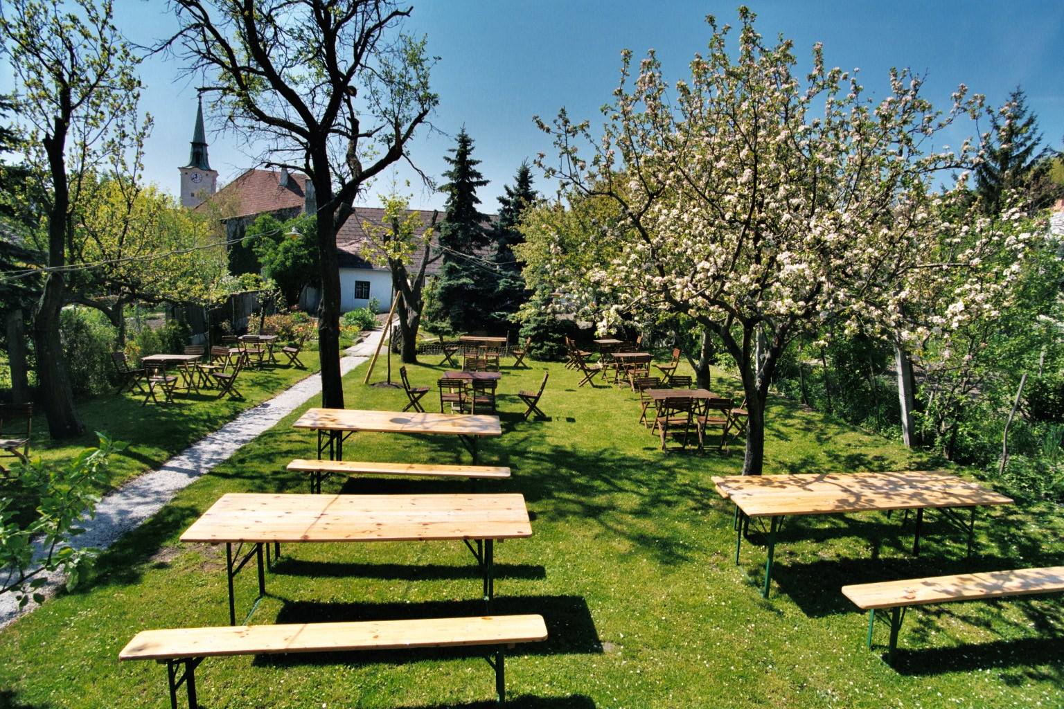 Weingut Schabl | Gumpoldskirchen