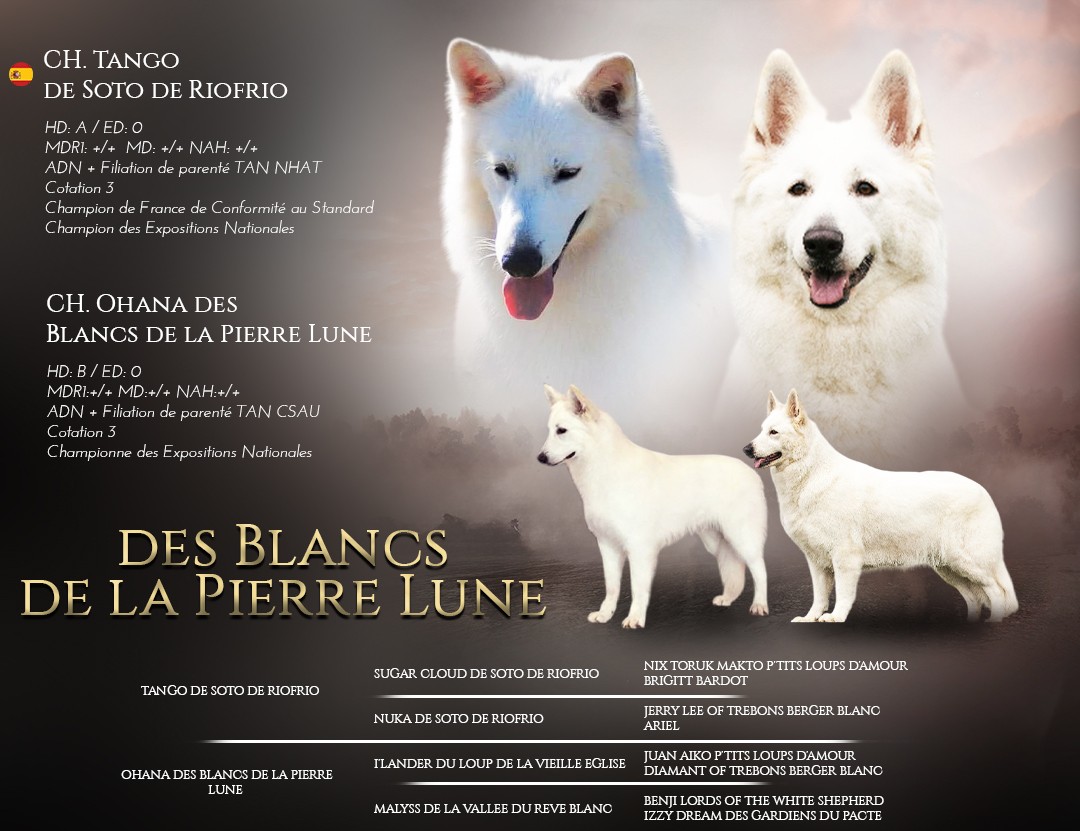 Sitemapcdatahttpsaudekniqoocomprb Blanc De La Cotenull