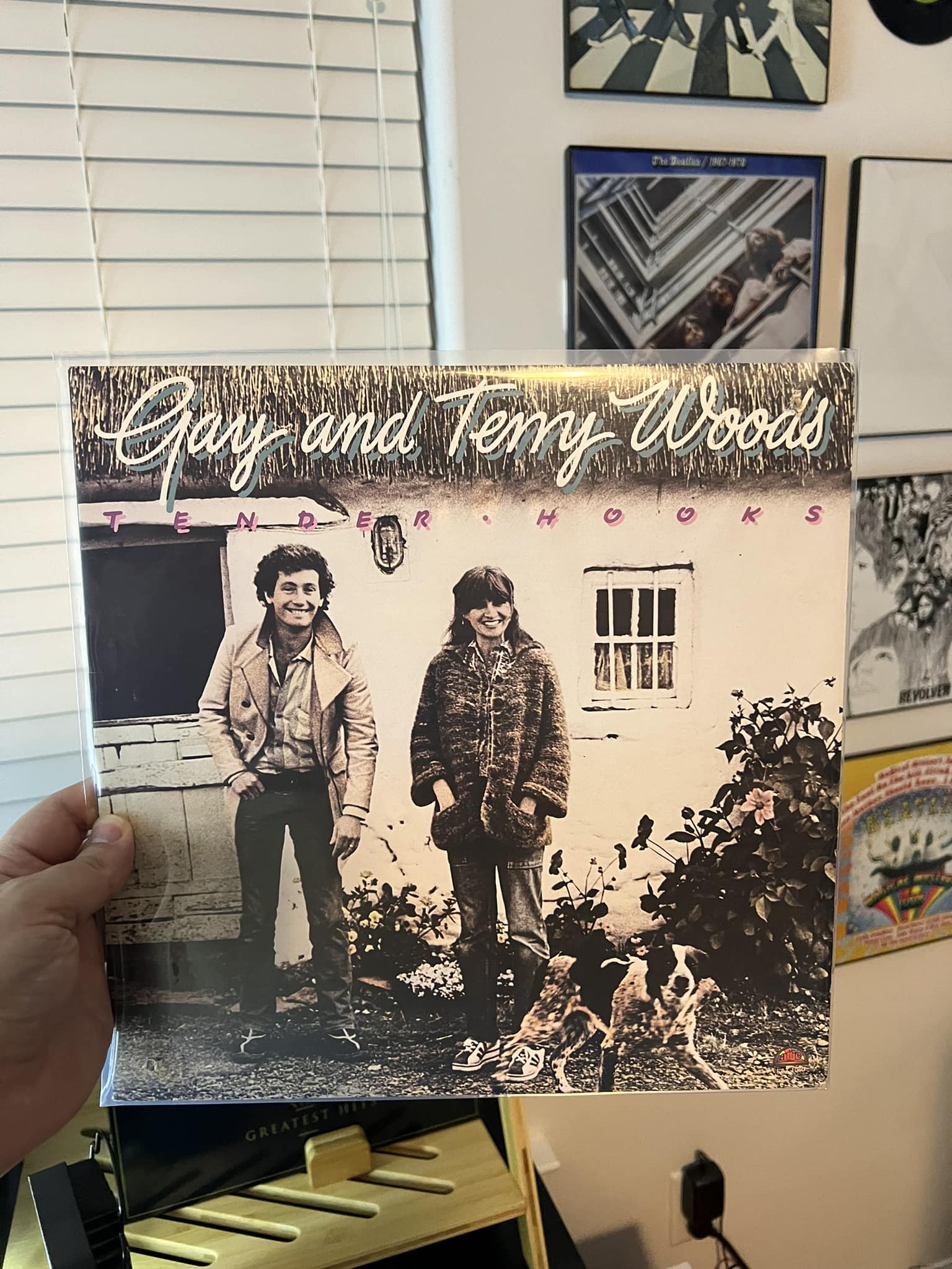 Discovering rare 1975 album Gay and Terry Woods Backwoods