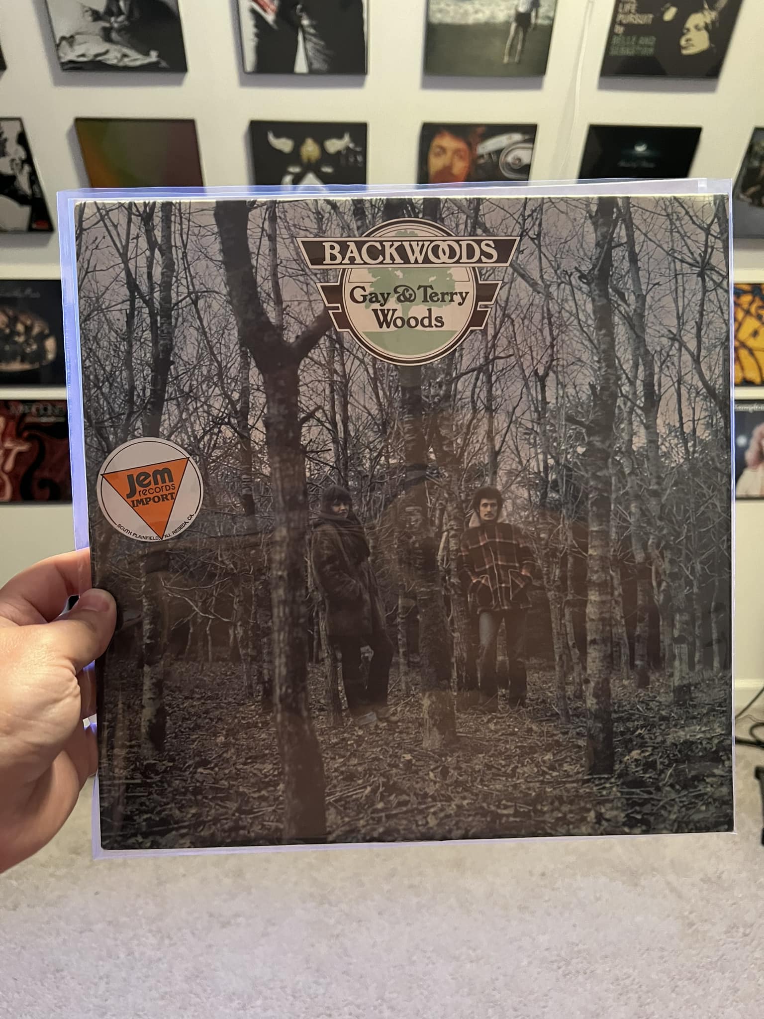 Discovering rare 1975 album Gay and Terry Woods Backwoods