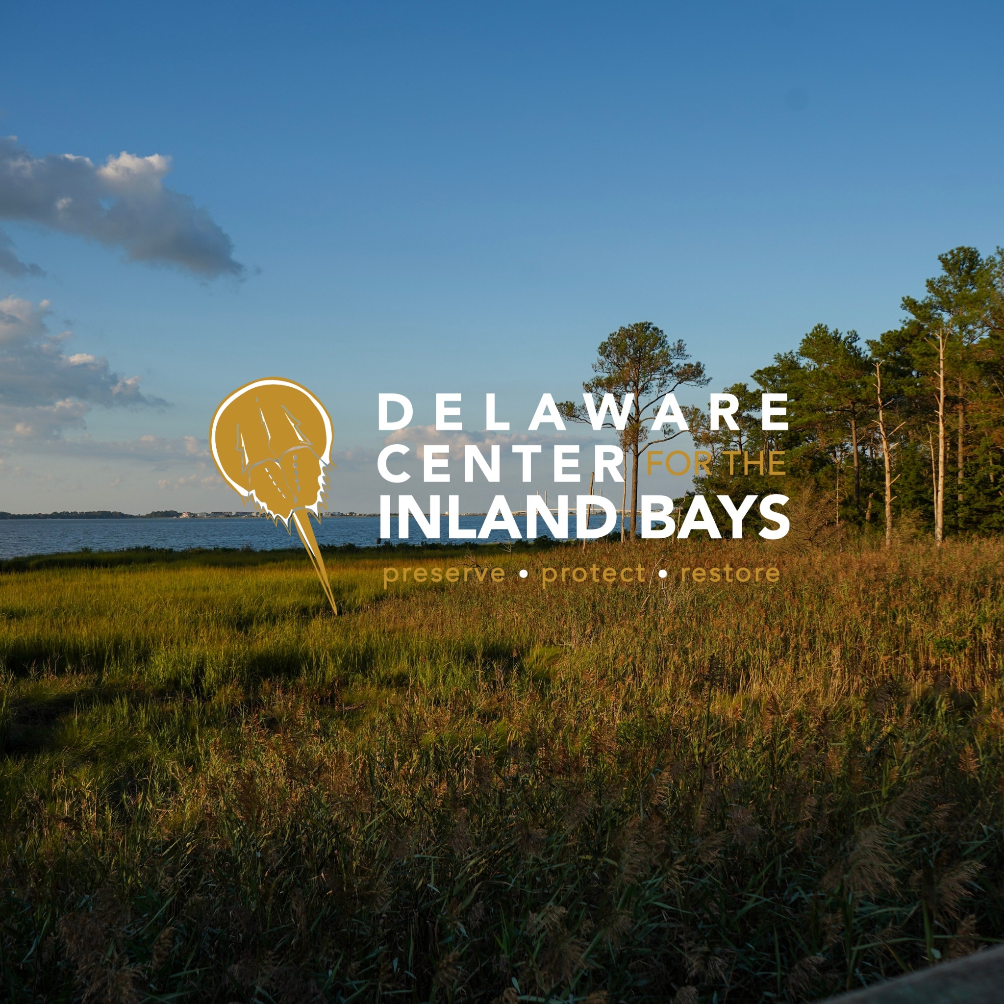James Farm Ecological Preserve | Ocean View DE