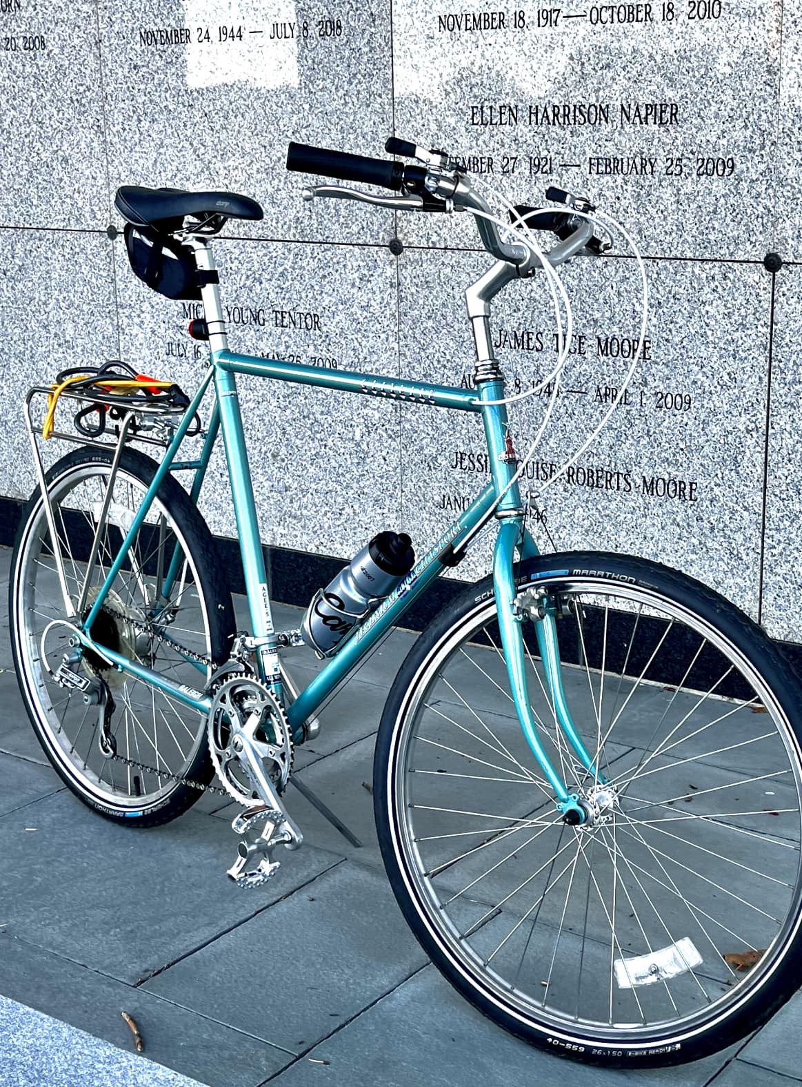 Raleigh (E Carlton Oblungo Sedile Tubo Decalcomania