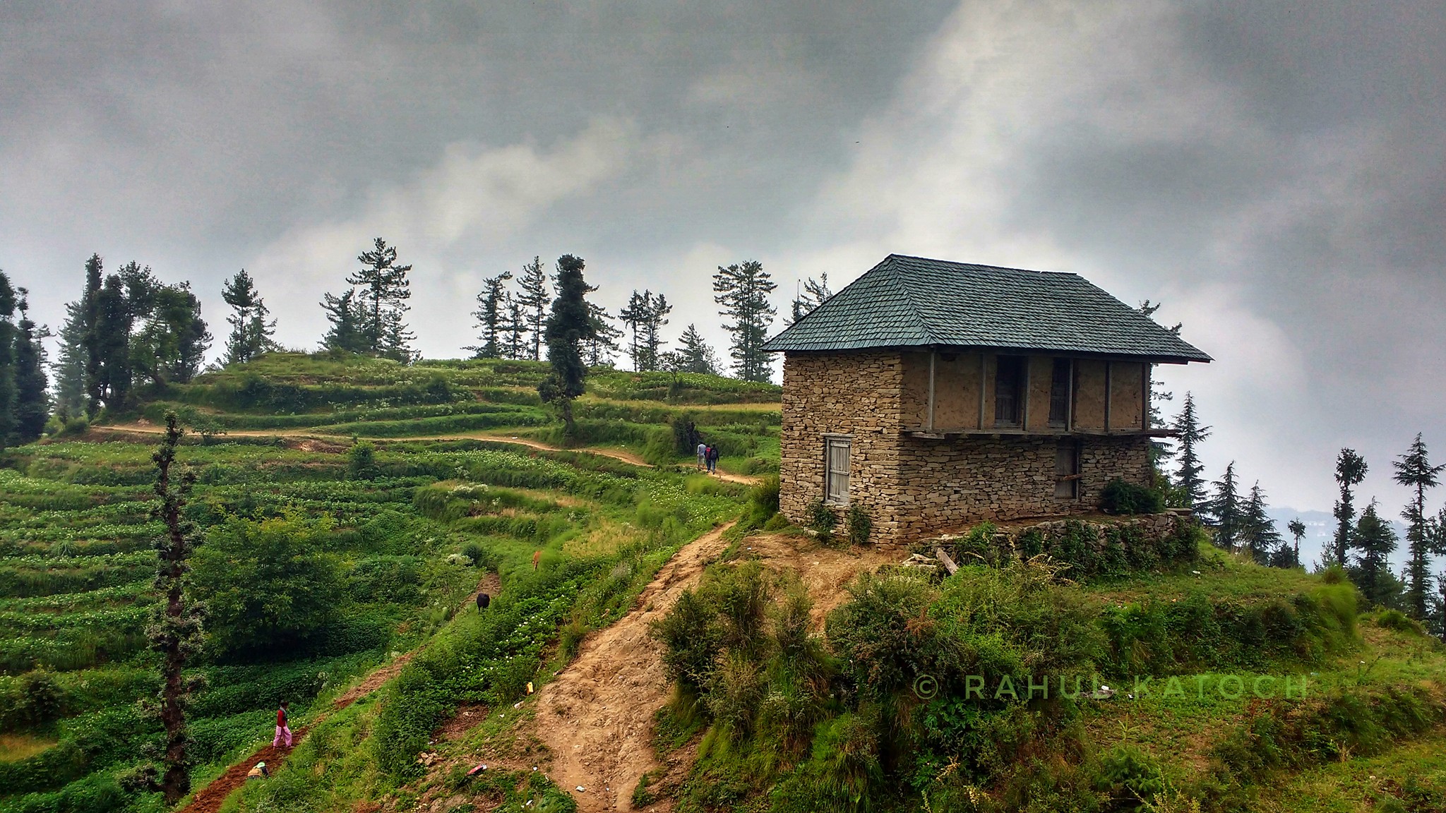Himalayan Talkies | En-route to Kamrunag Temple, Mandi | Facebook