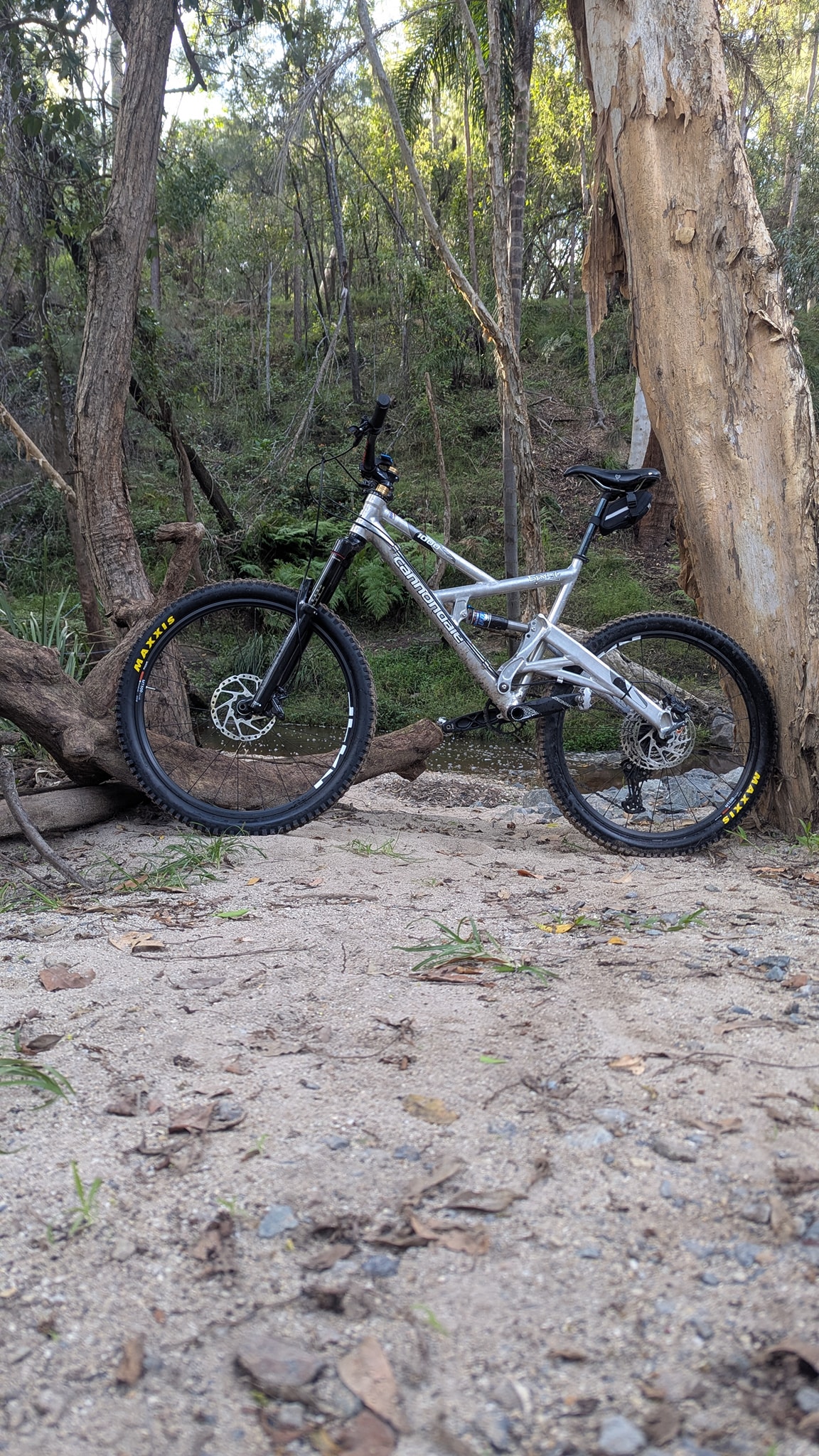 On the trails with my Gemini upgrades 26