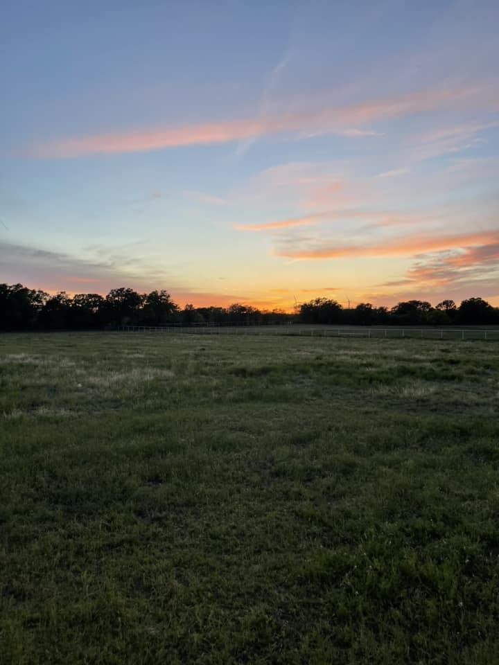 Stephenville TX Farm, Ranch & Horses | ISO: breakaway/calf roping ...