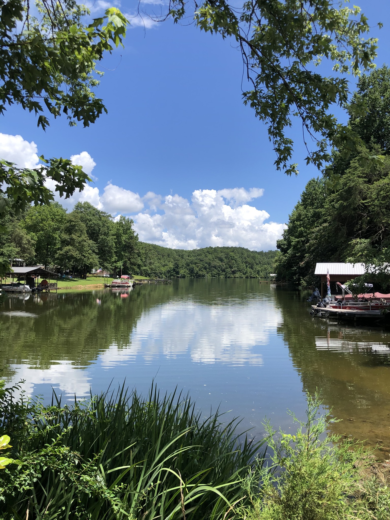 Leigh Camp | Clanton AL