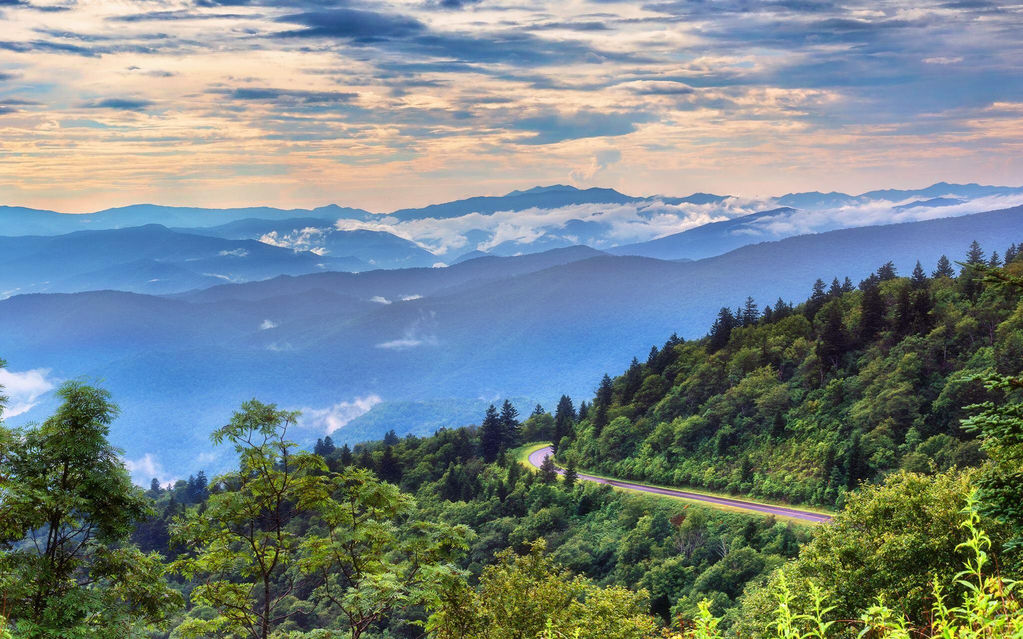 Rocky Mountain Range with Trees, Motion Graphics