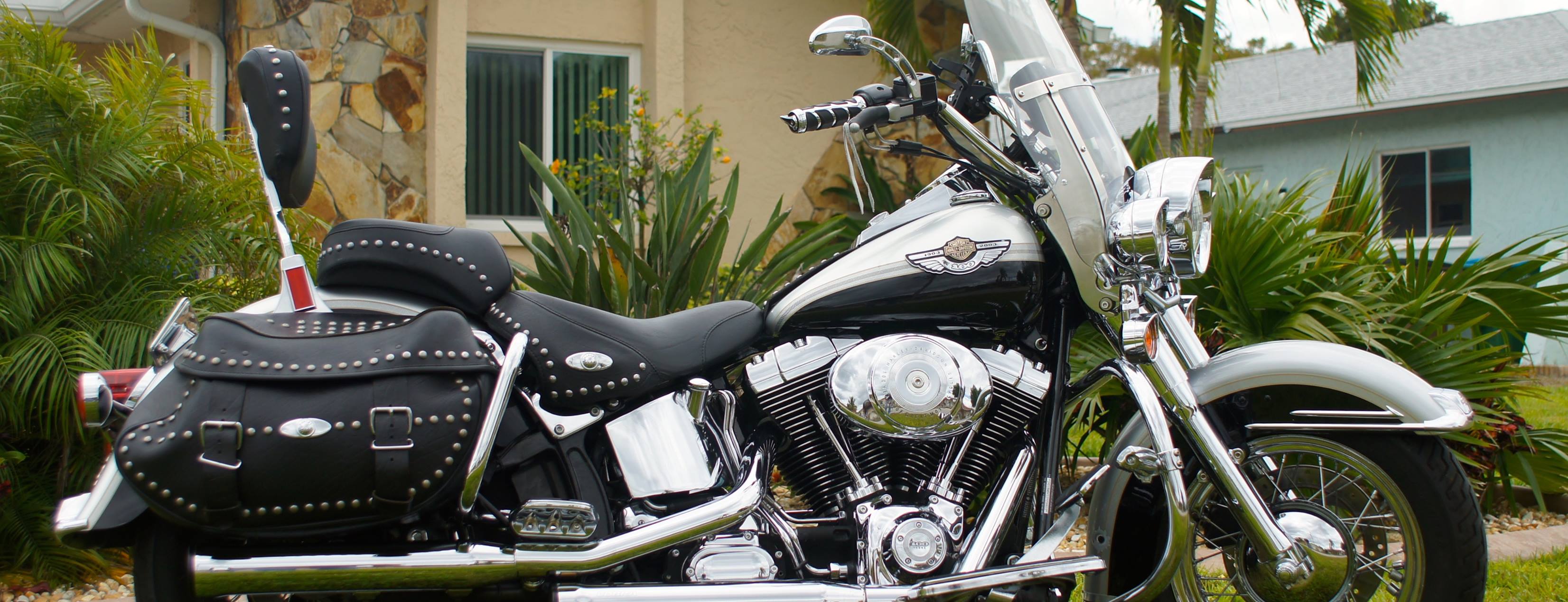 Gulf Coast Classics Riding Club | Facebook