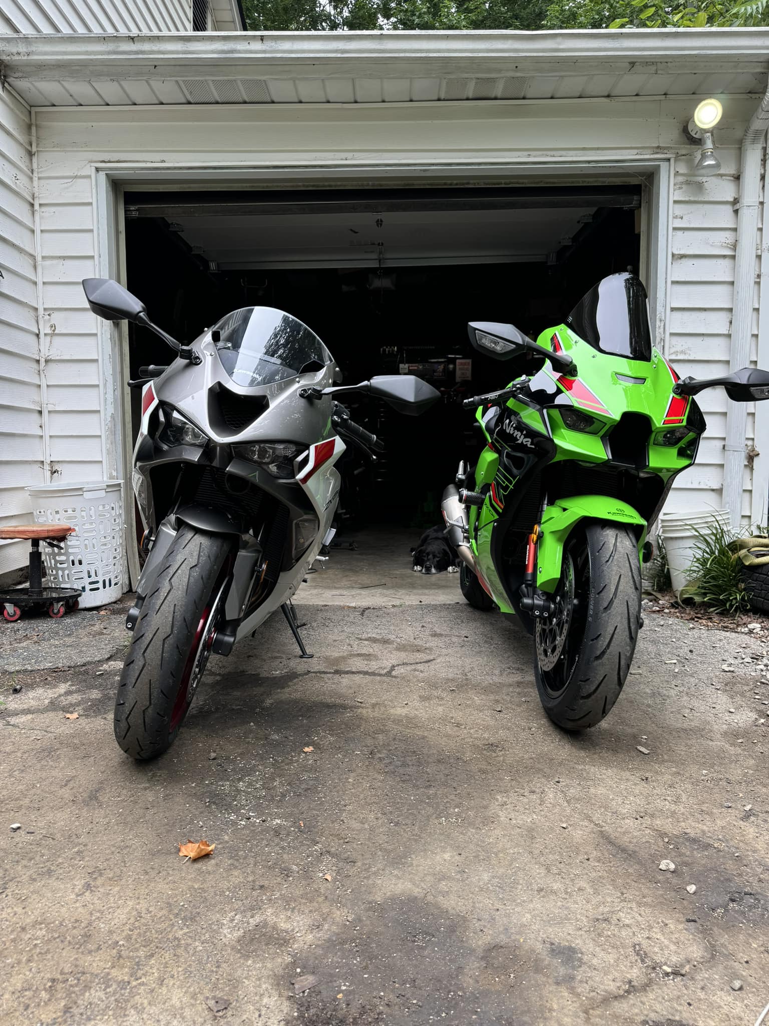 Who can adjust 23 ZX10R suspension in Knoxville this Friday?