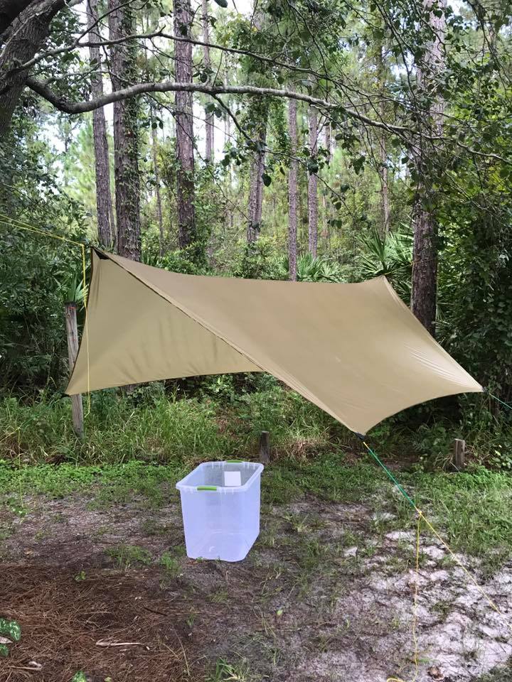 Coleman screen canopy joint tarp II setup complete