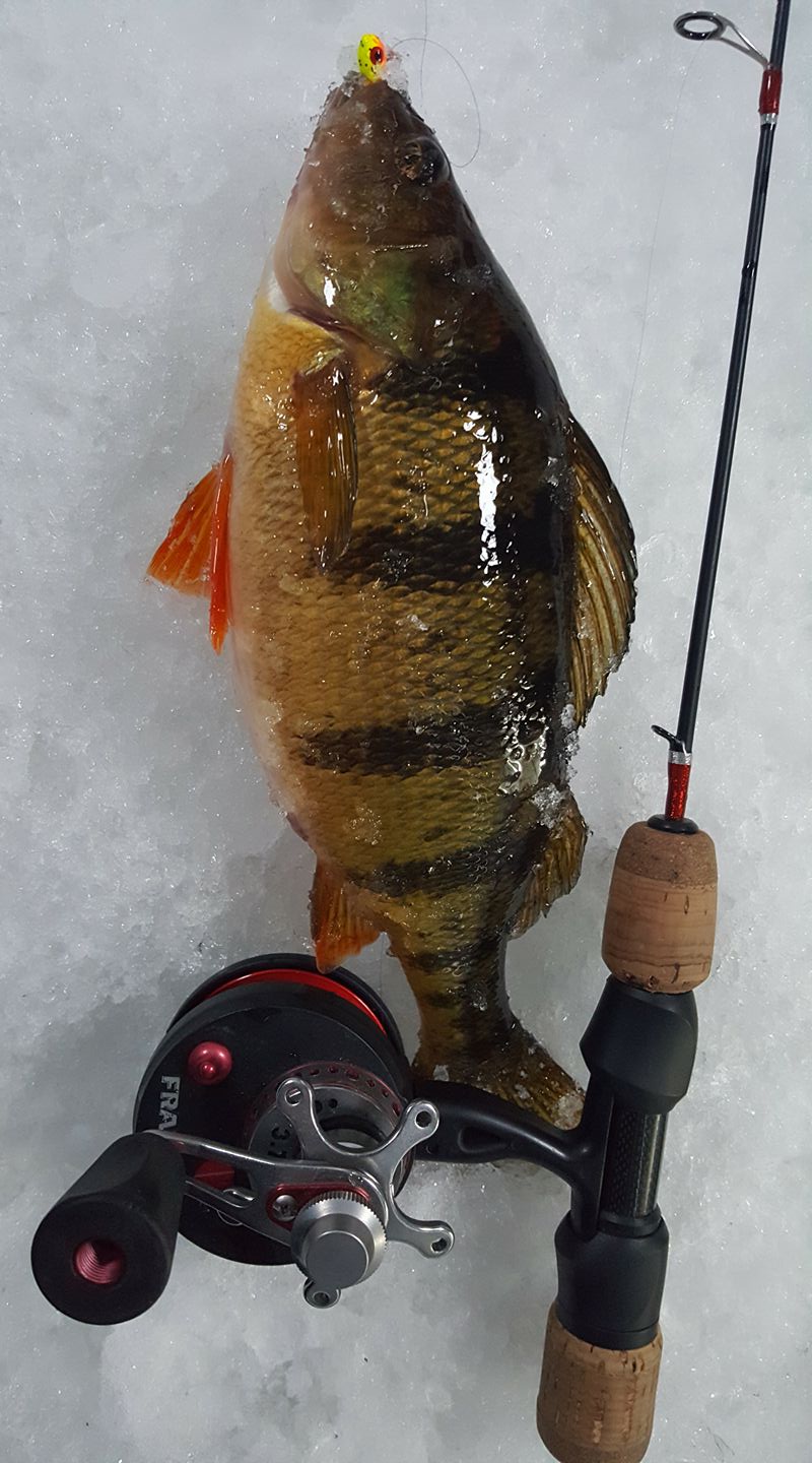 best ice fishing pole for perch Amazon Sellers: Best Rods Winter Ice Fishing Rod Top Ice Fishing Lures for