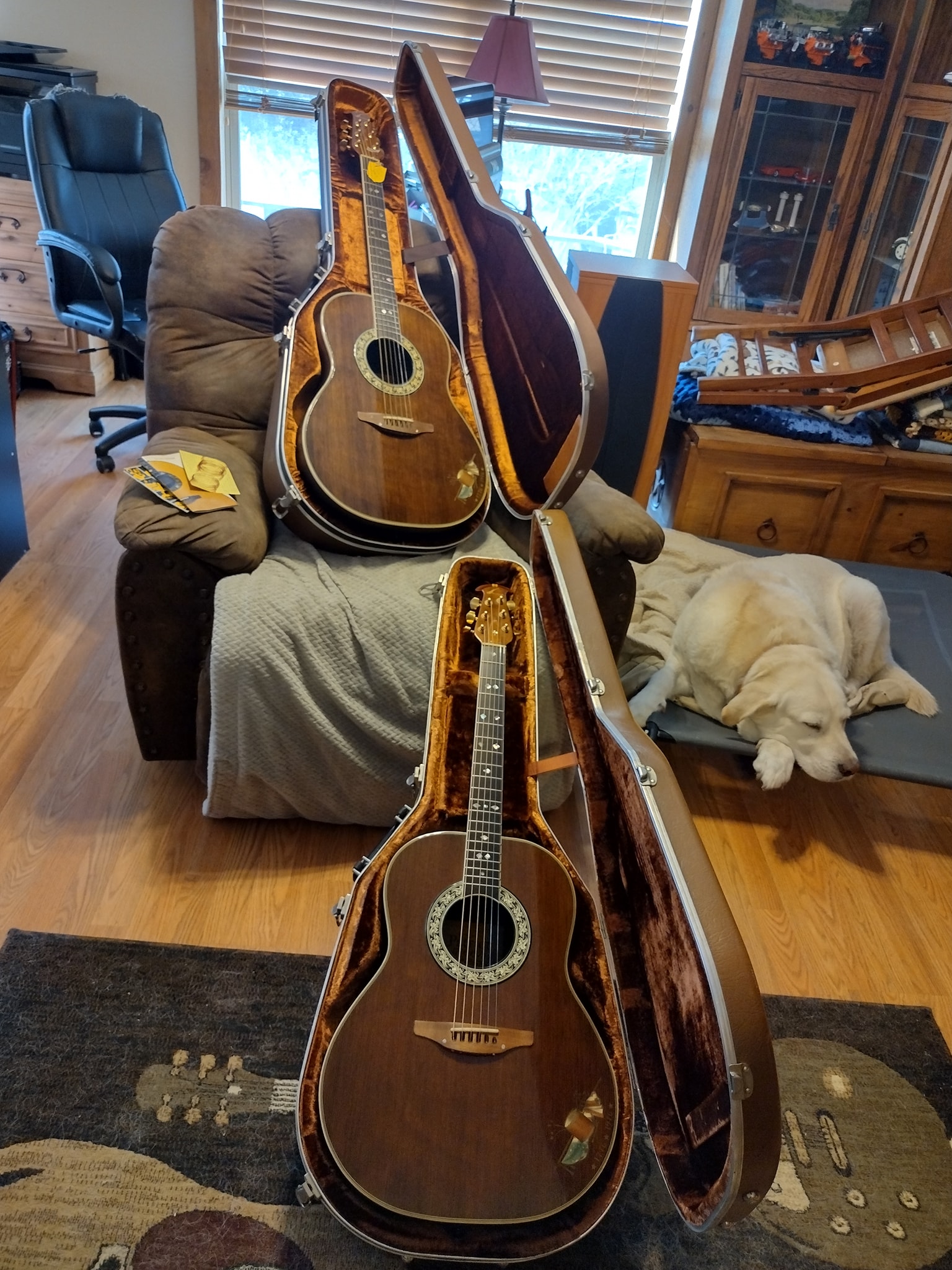 Ovation Patriot guitars #25 and #27 acquired