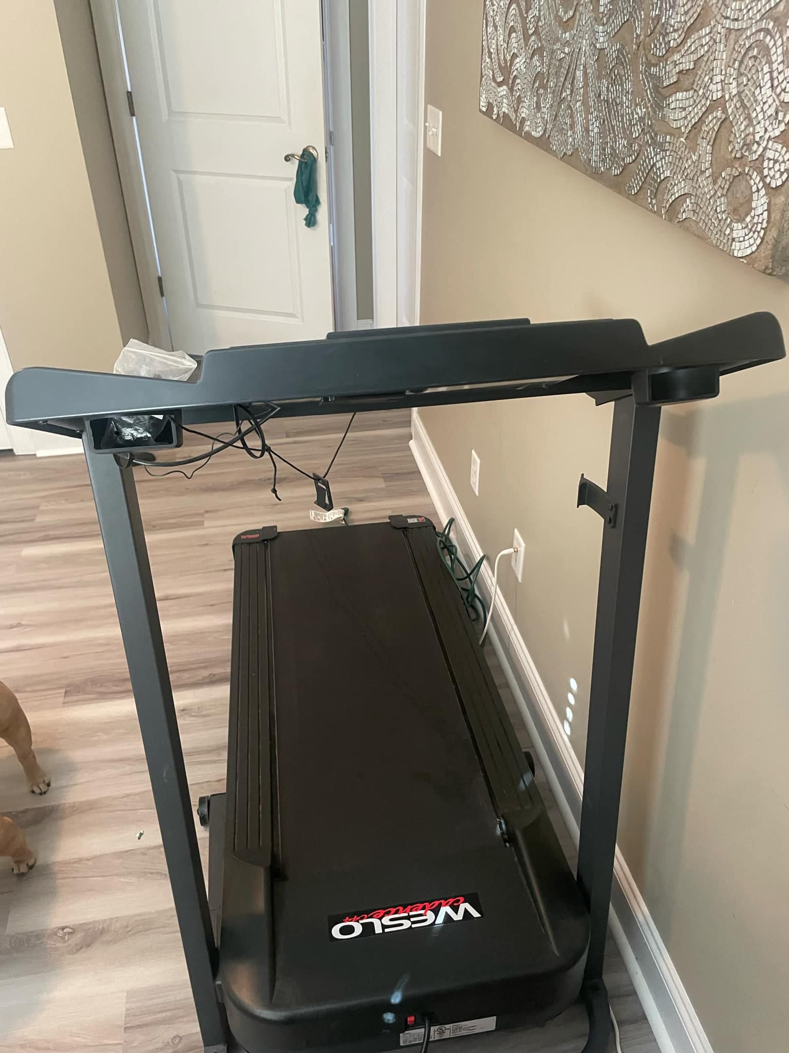 Xterra TR150 Vs Weslo Cadence G 5.9 - [Compared In 2026