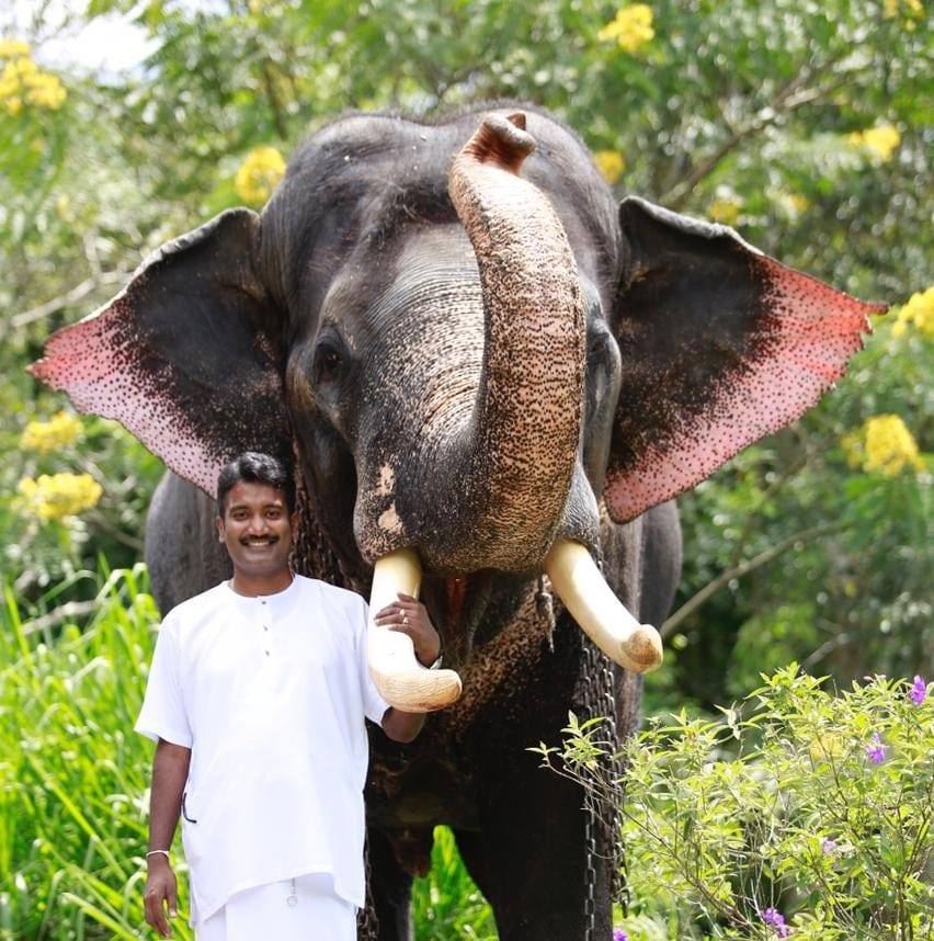 Dimuthu Bambaradeniya