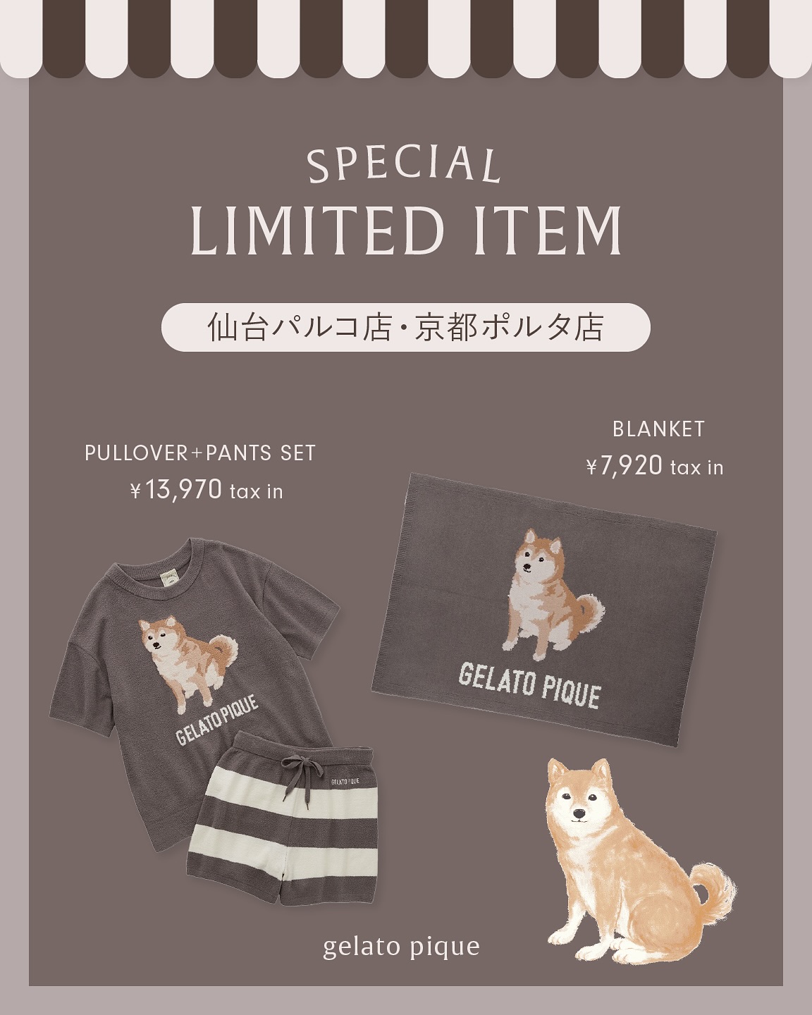 GELATO PIQUE 柴犬 ブランケット ジェラートピケ 【公式通販】