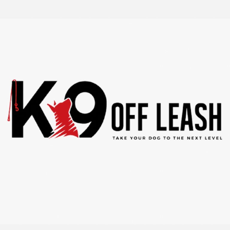 From basic obedience to advanced skills like this — jumping onto the ...