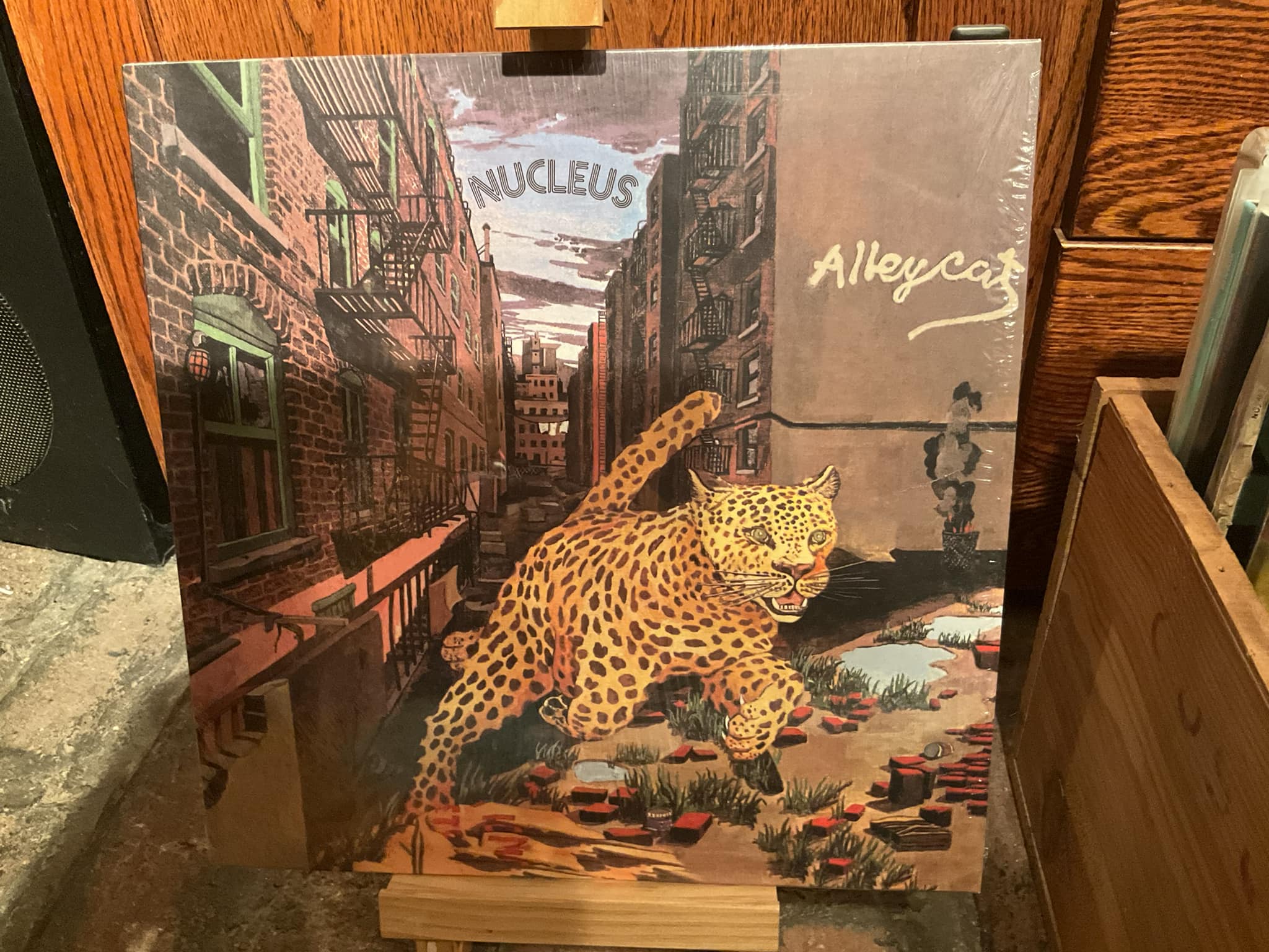 Nucleus album Alley Cat is a favorite