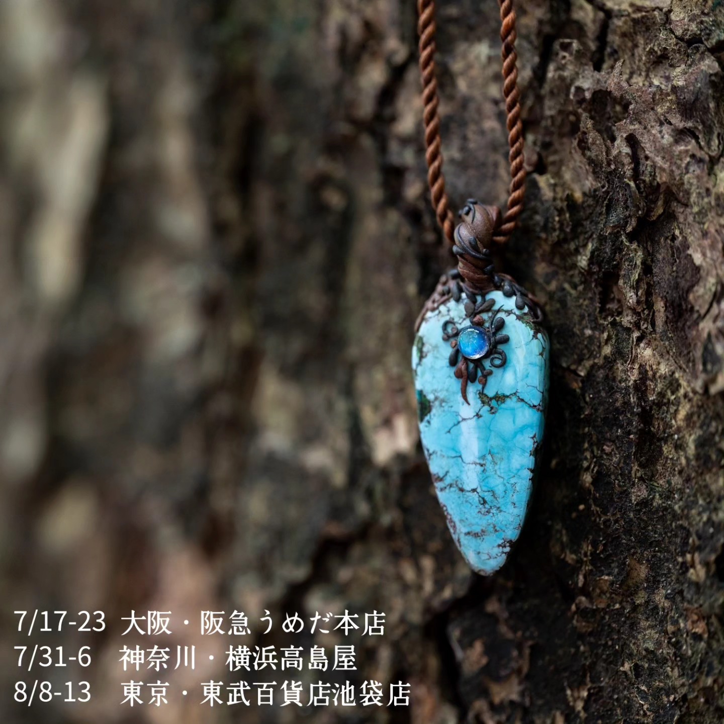 西表島 いやしろちのプロフィール