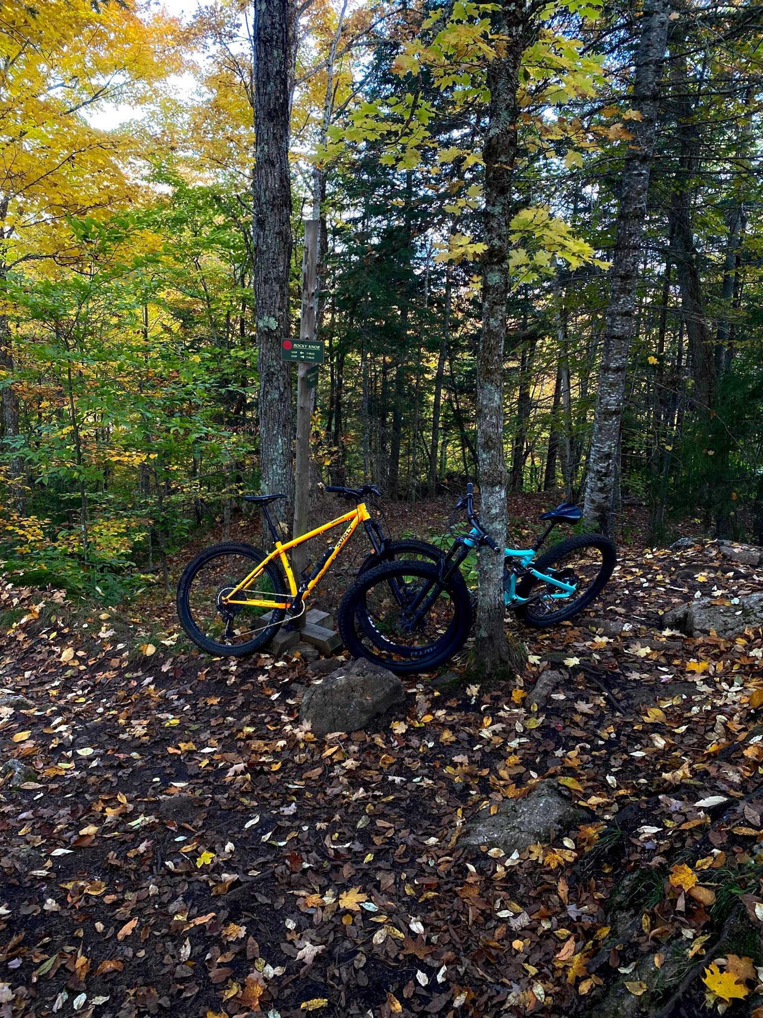 Why does Surly's Toxic Tangerine Karate Monkey paint fade?