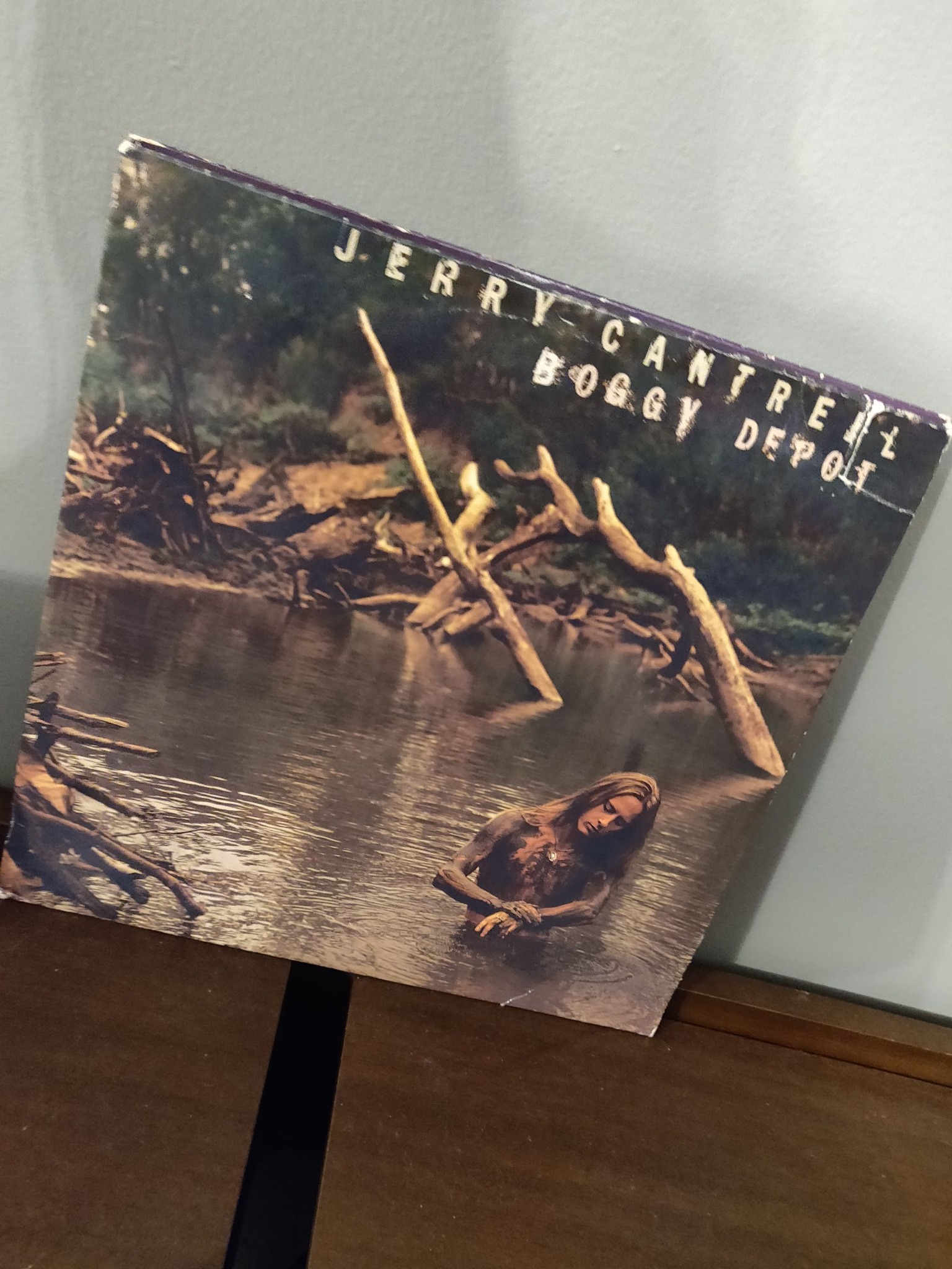 Jerry Cantrell's Boggy Depot album review