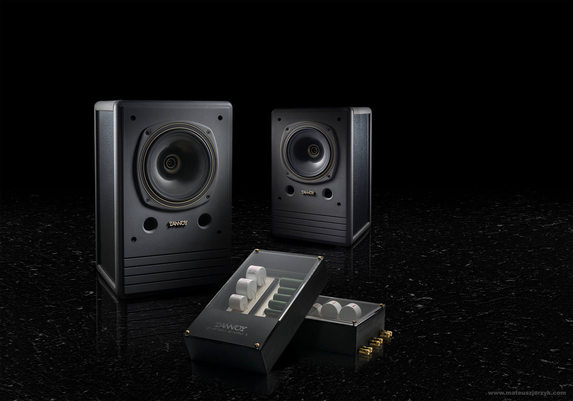 Tannoy System 8 NFM II Monitor Maintenance
