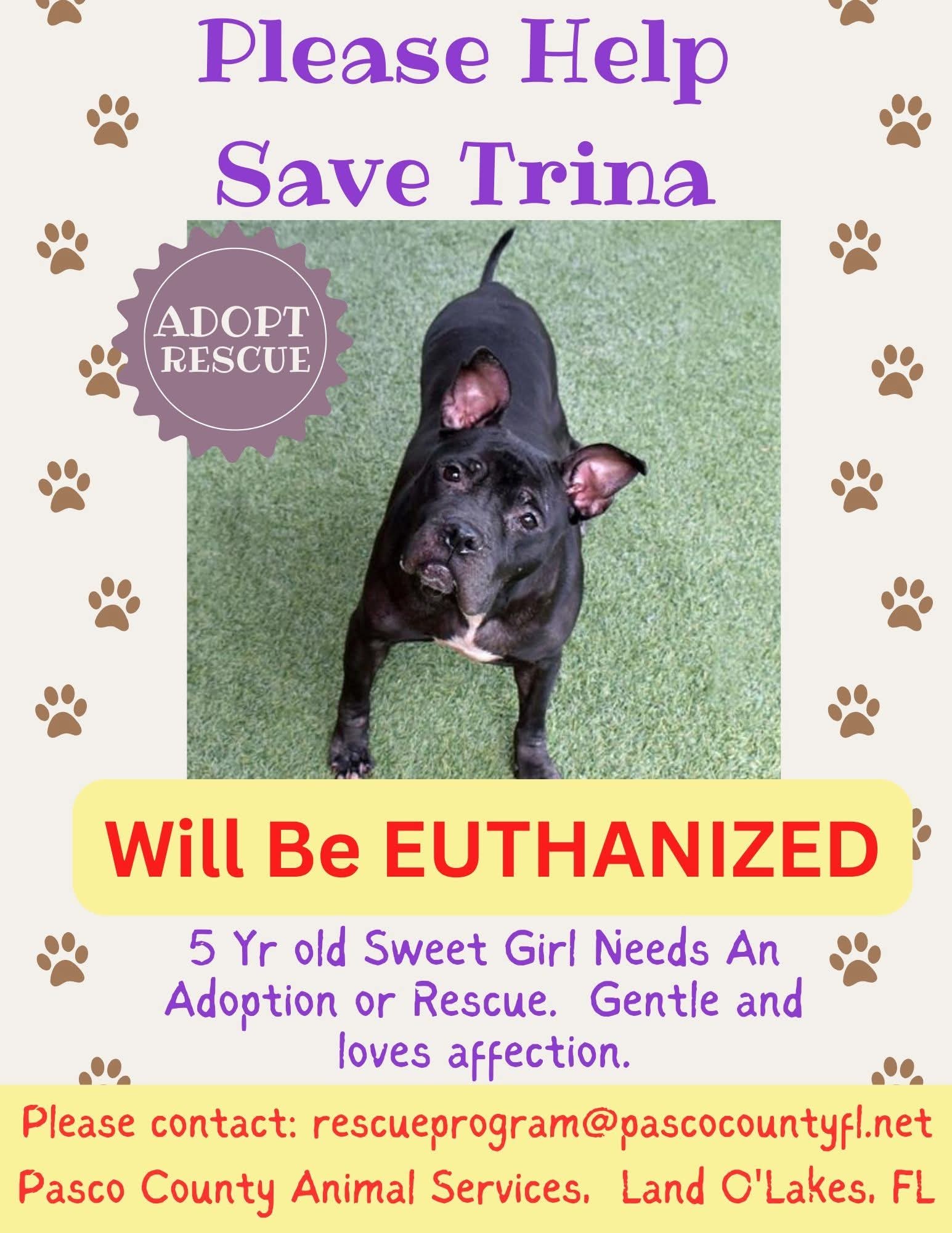 🚨🚨Thrilla is still showing as available but he is now past his