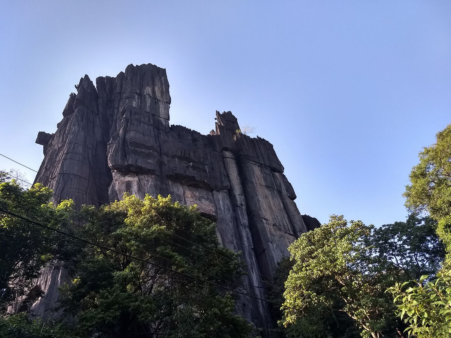 Radha Rao