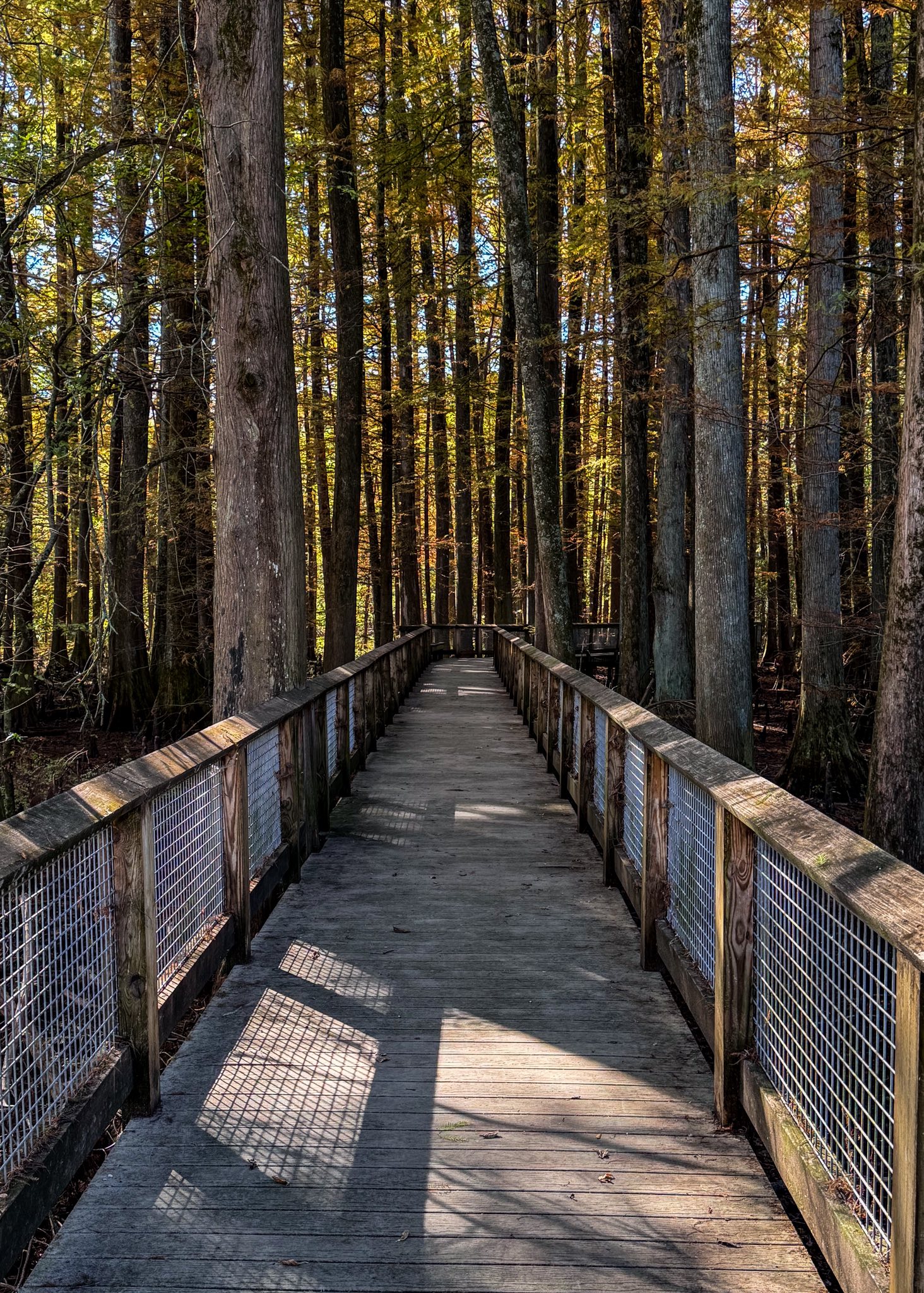Wheeler Wildlife Refuge visitors center in Decatur | Facebook
