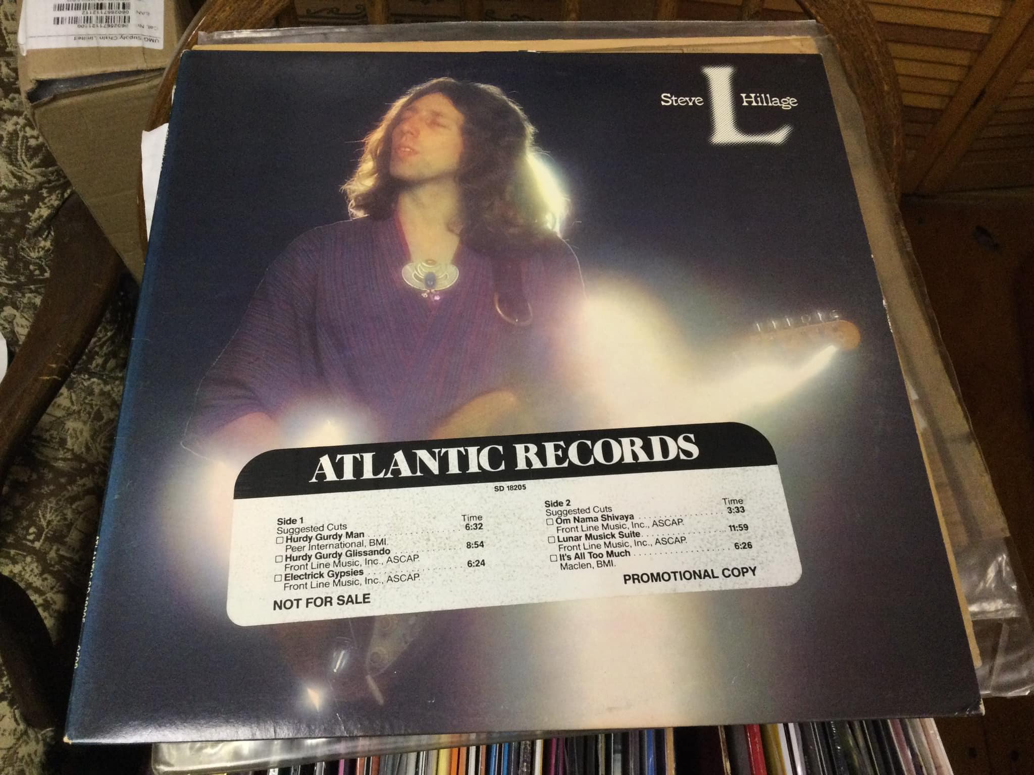 STEVE HILLAGE 