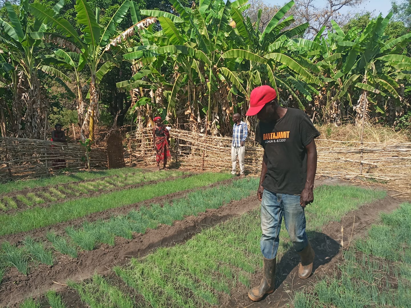 Eastern province Small Scale Farmers (Sharing ideas) | Facebook