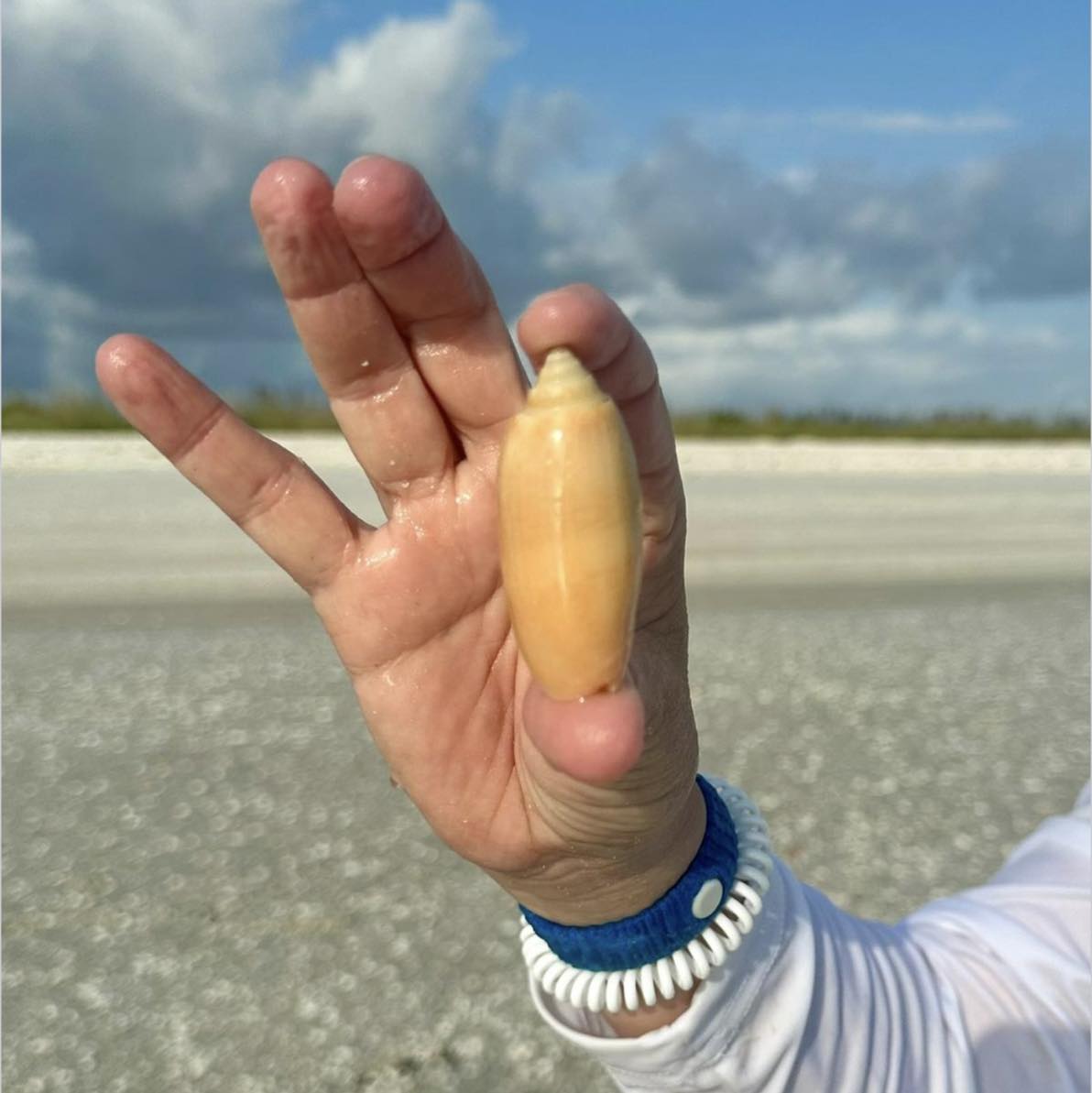 Is this a golden or weathered lettered shell?