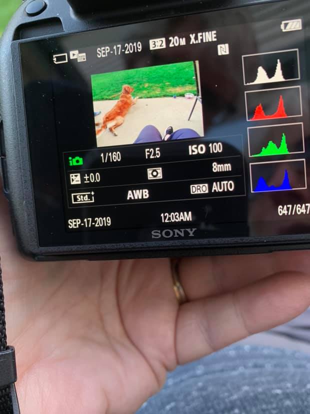 【難あり】Cyber-shot RX100M4 ※モニター・EVF不点灯 When to use viewfinder over screen on Sony RX10 Mark 4?