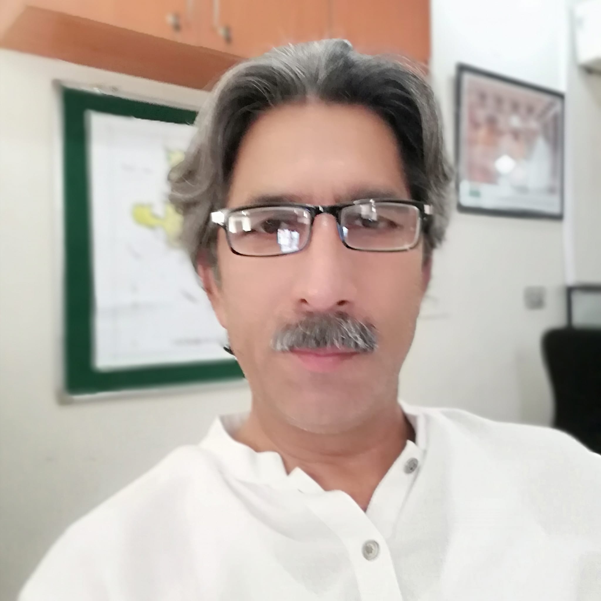 Papaya transplantation #papayafarmexpert #papayanursery | Syed Abdul Razzaq