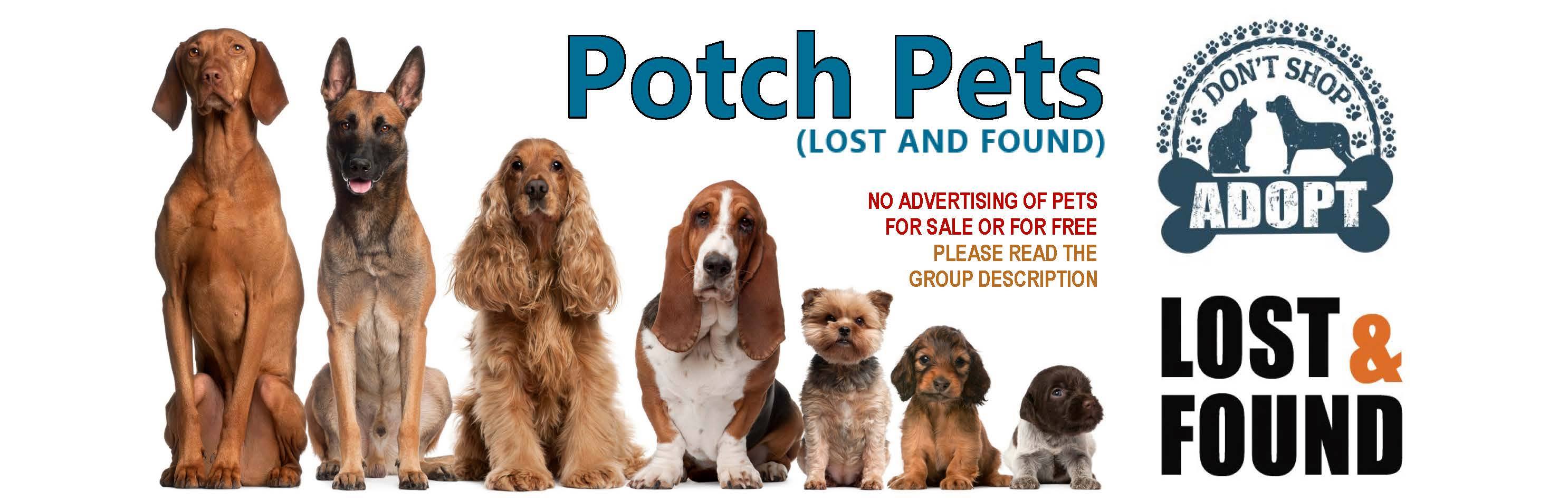Potch Pets | Is daar enige nood Veeartse in Potchefstroom | Facebook