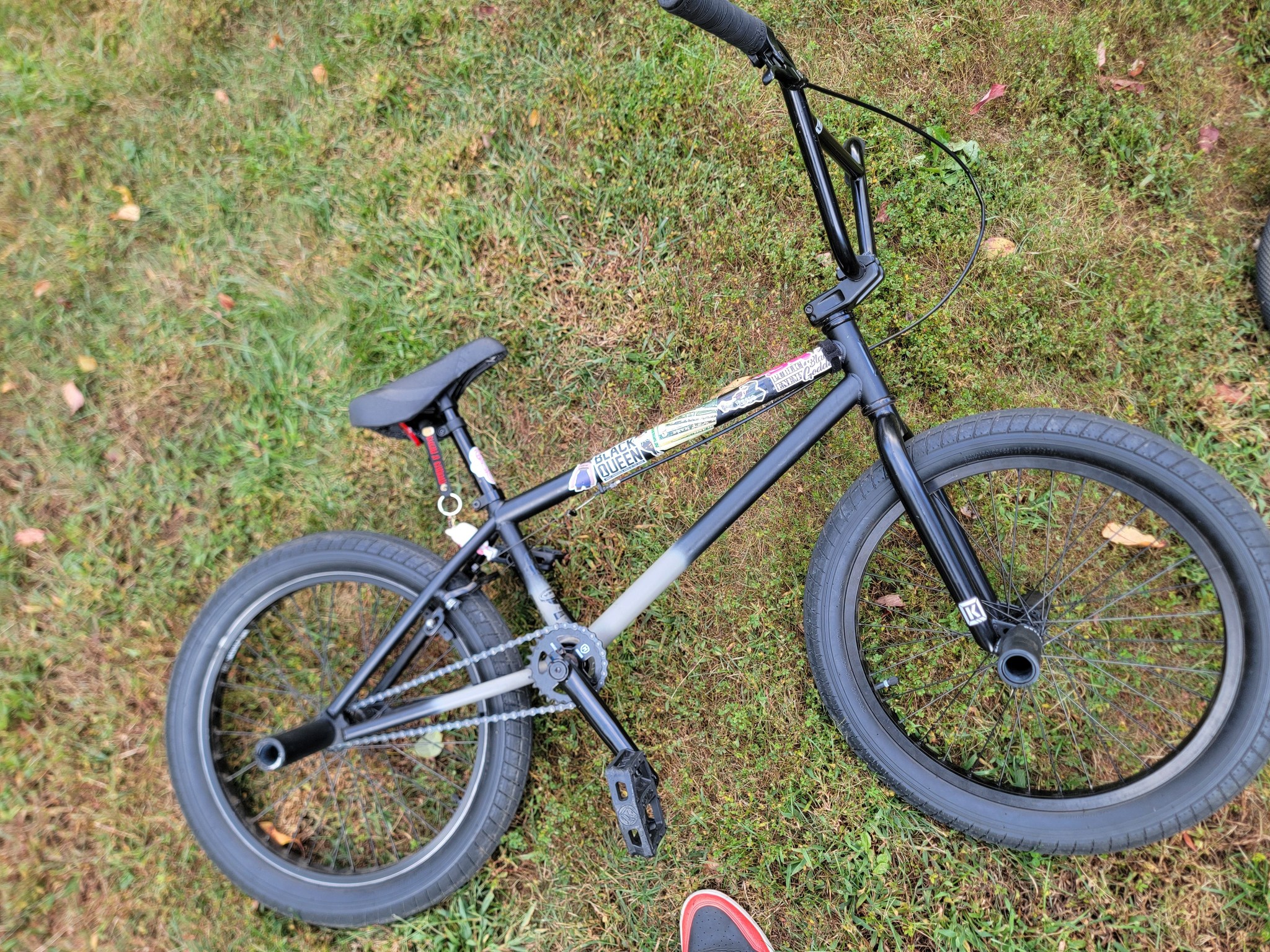 cultbmx #kinkbmx .. #dkbmx