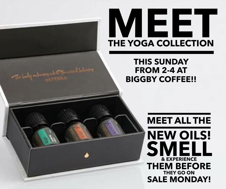 The moment all the yogis have been waiting for has arrived! The