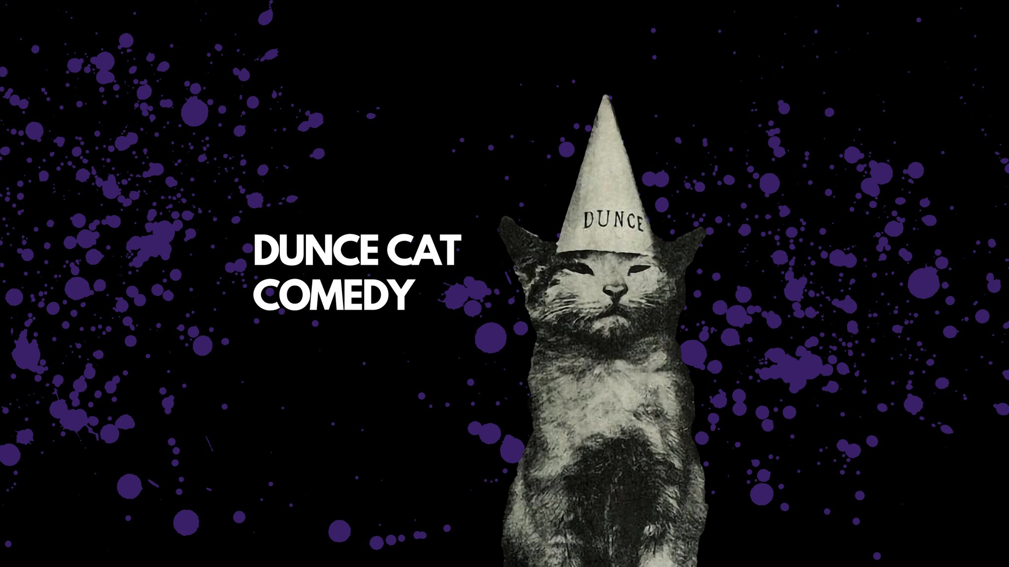 Dunce Cat Comedy - Home