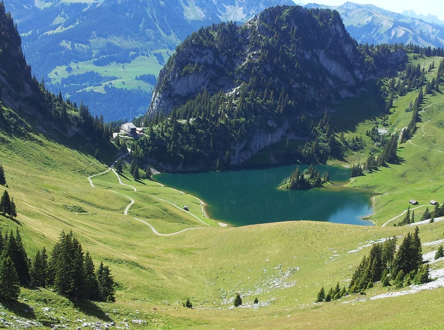 Ruedi Rohrbach
