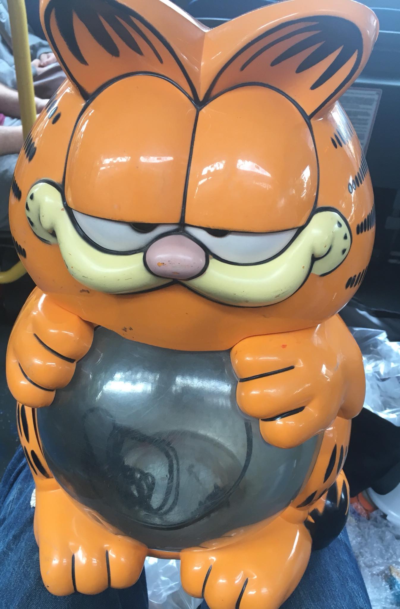 Vintage Garfield Aquarium vs Quirky Rooster Vase