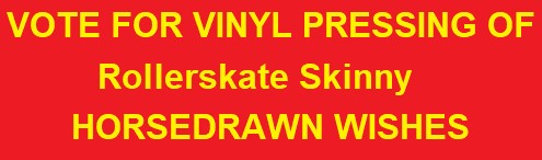 Rollerskate Skinny's album Shoulder Voices