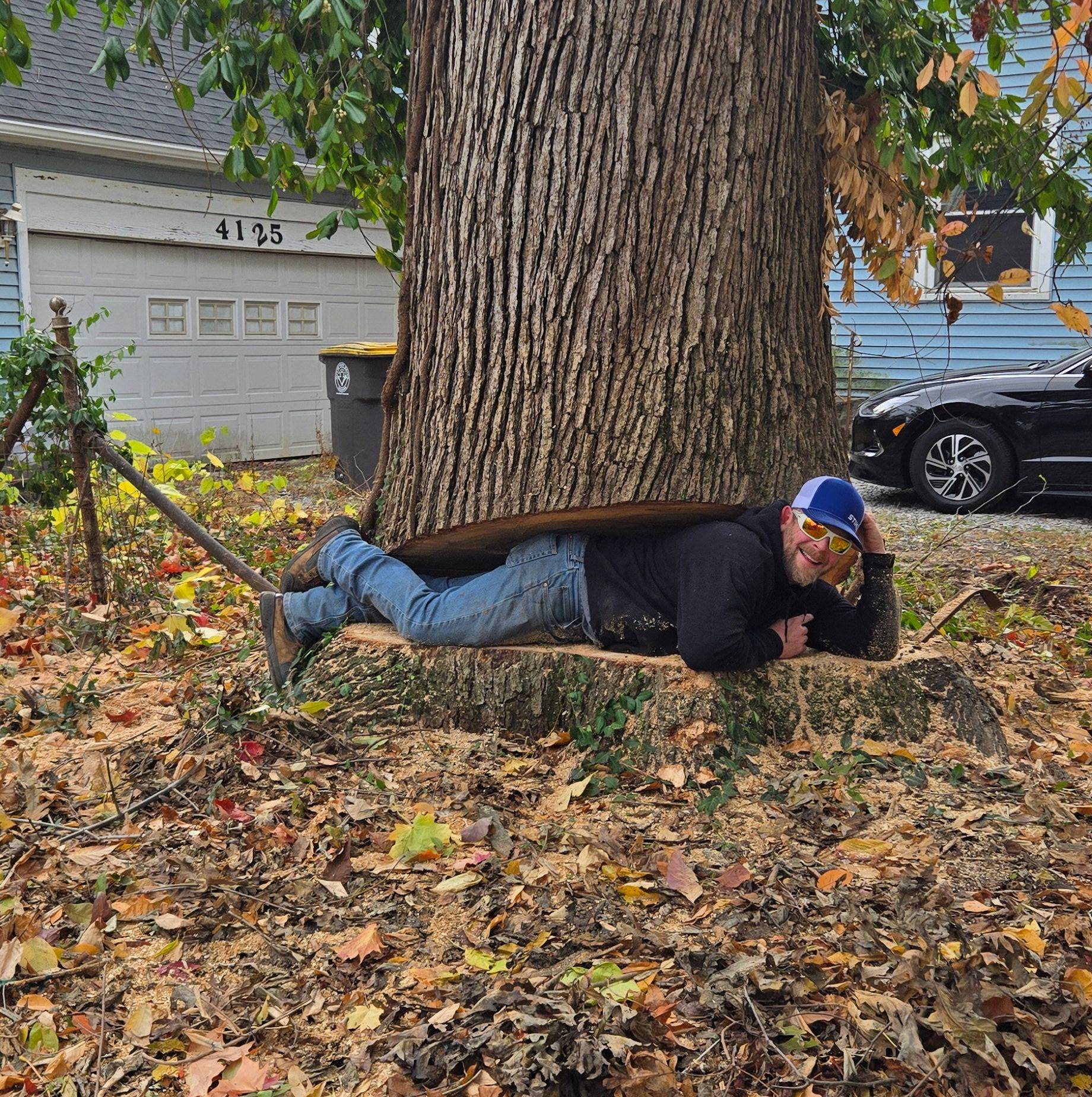 same day tree 3 and overgrown mulberry stump | Joshua Krontz