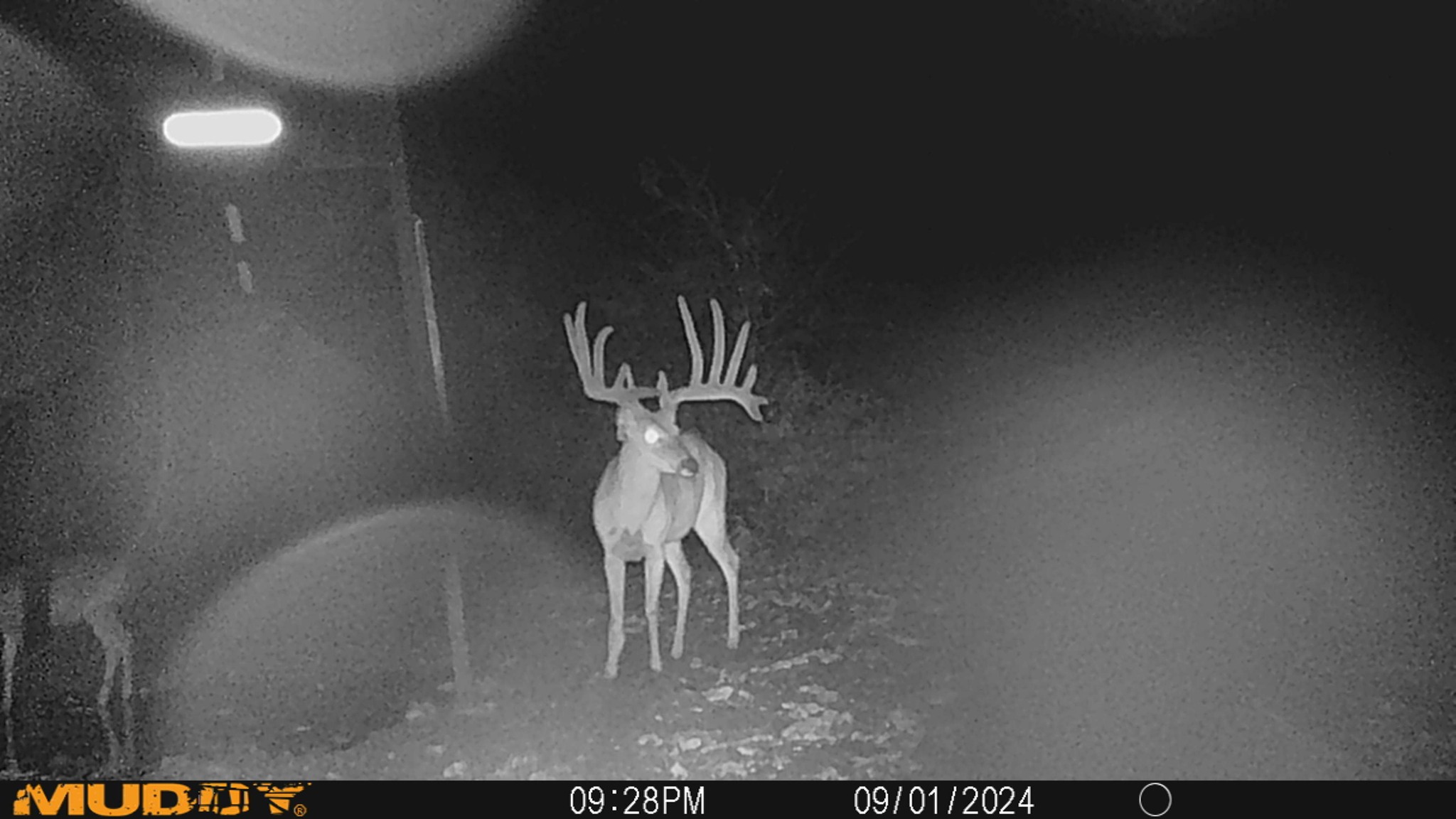 Lucky Draw Ranch | Menard TX
