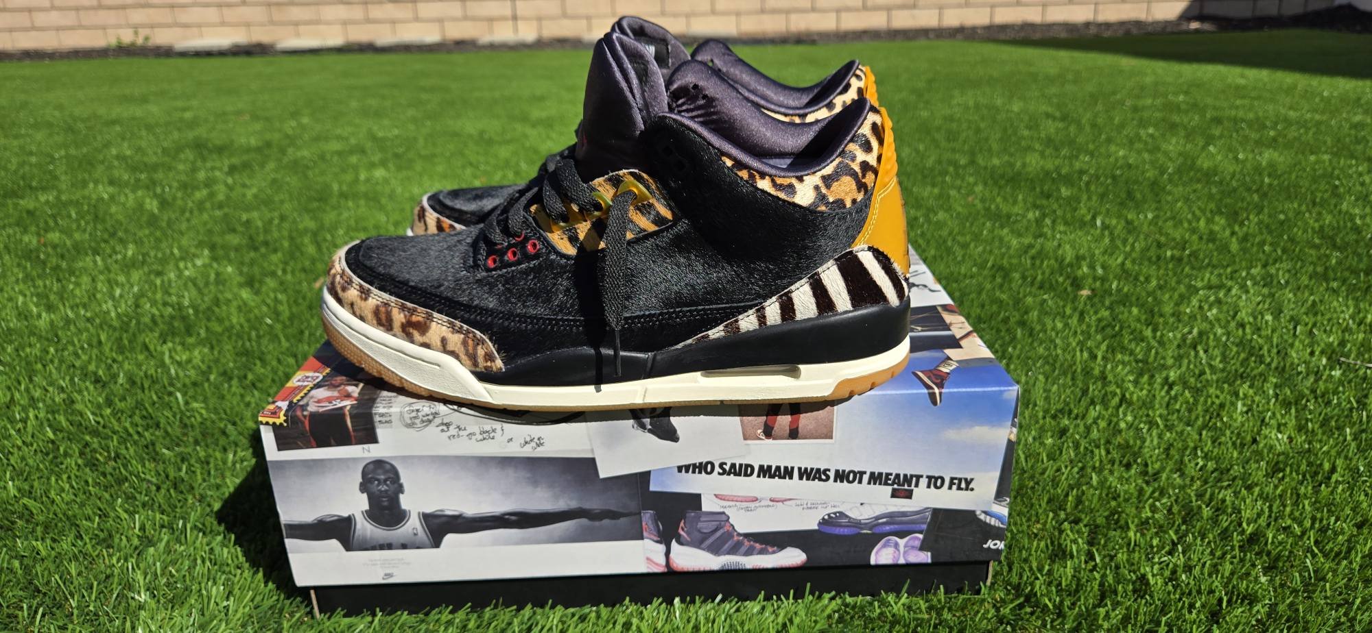 Nike Air Jordan Retro Se Animal Instinct 3s The Jordan 3s Animal 
