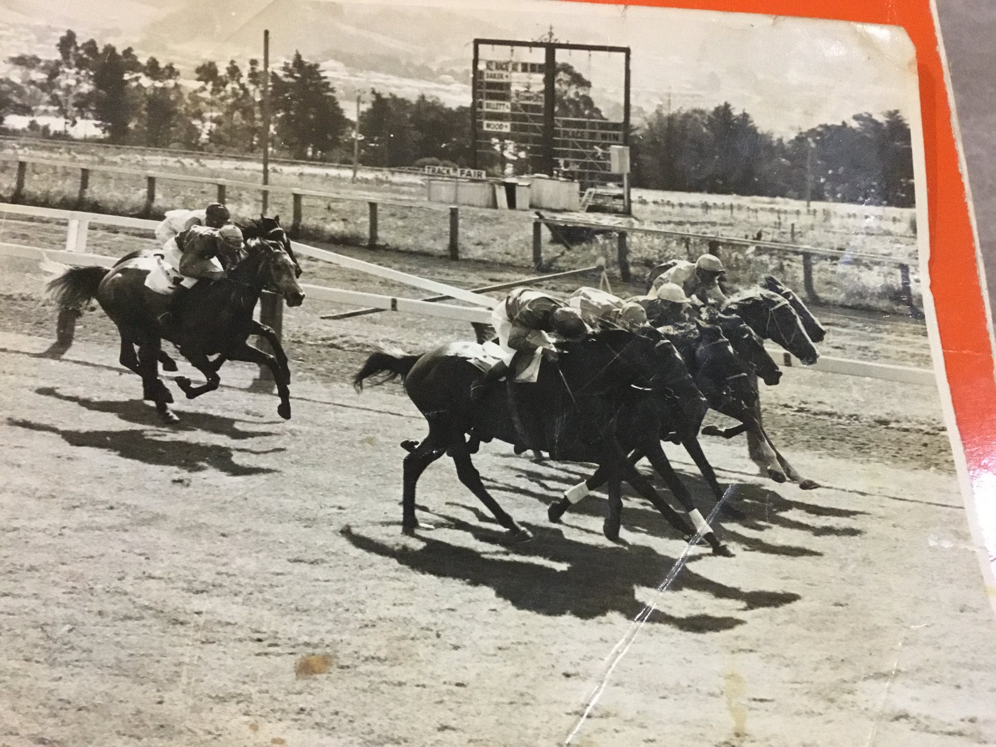 Tasmanian Thoroughbred Breeding and Racing Archive | One of the best ...