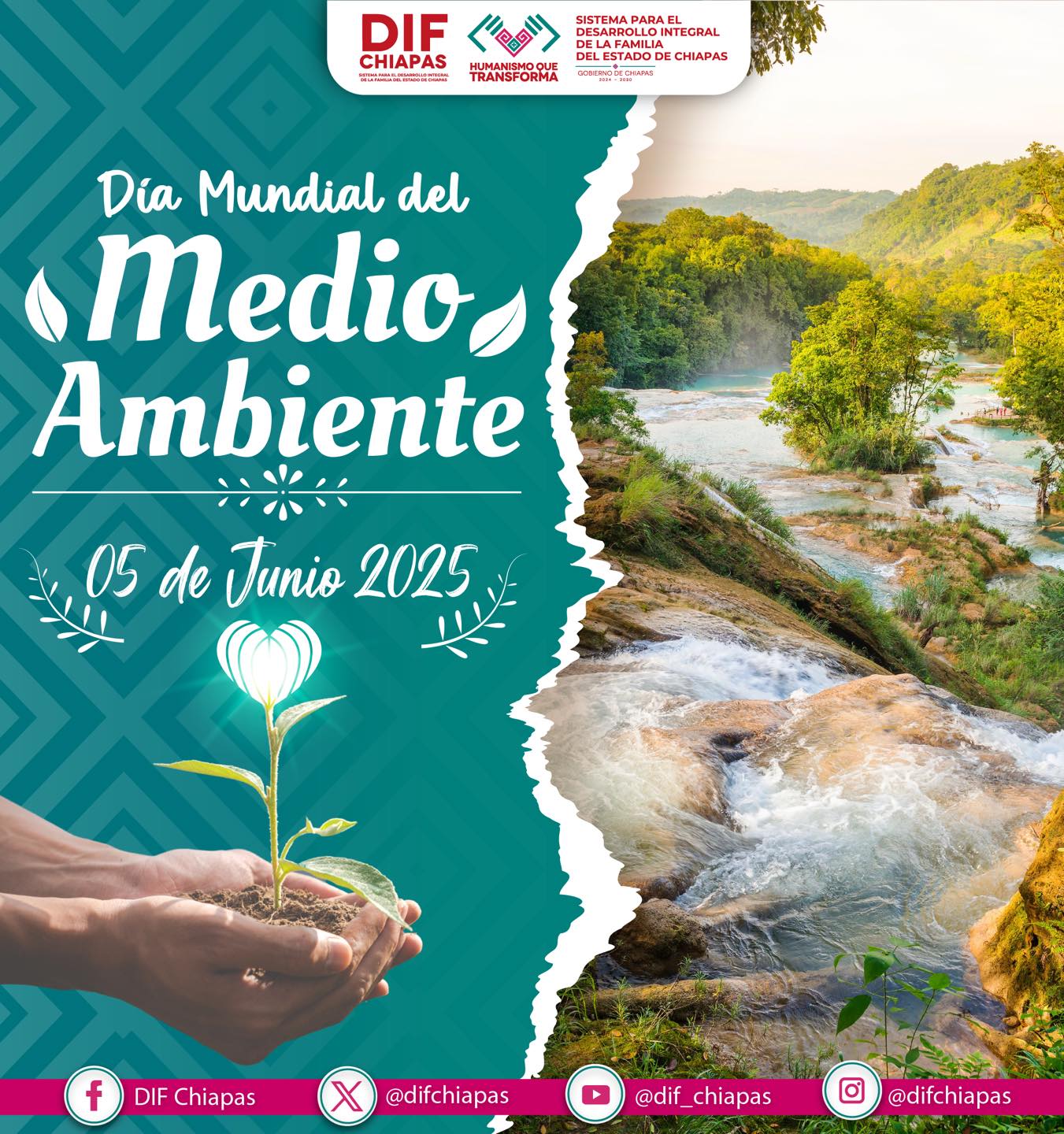 DIF - 5 de junio de 2025 Día Mundial del Medio Ambiente El 5 de junio ...