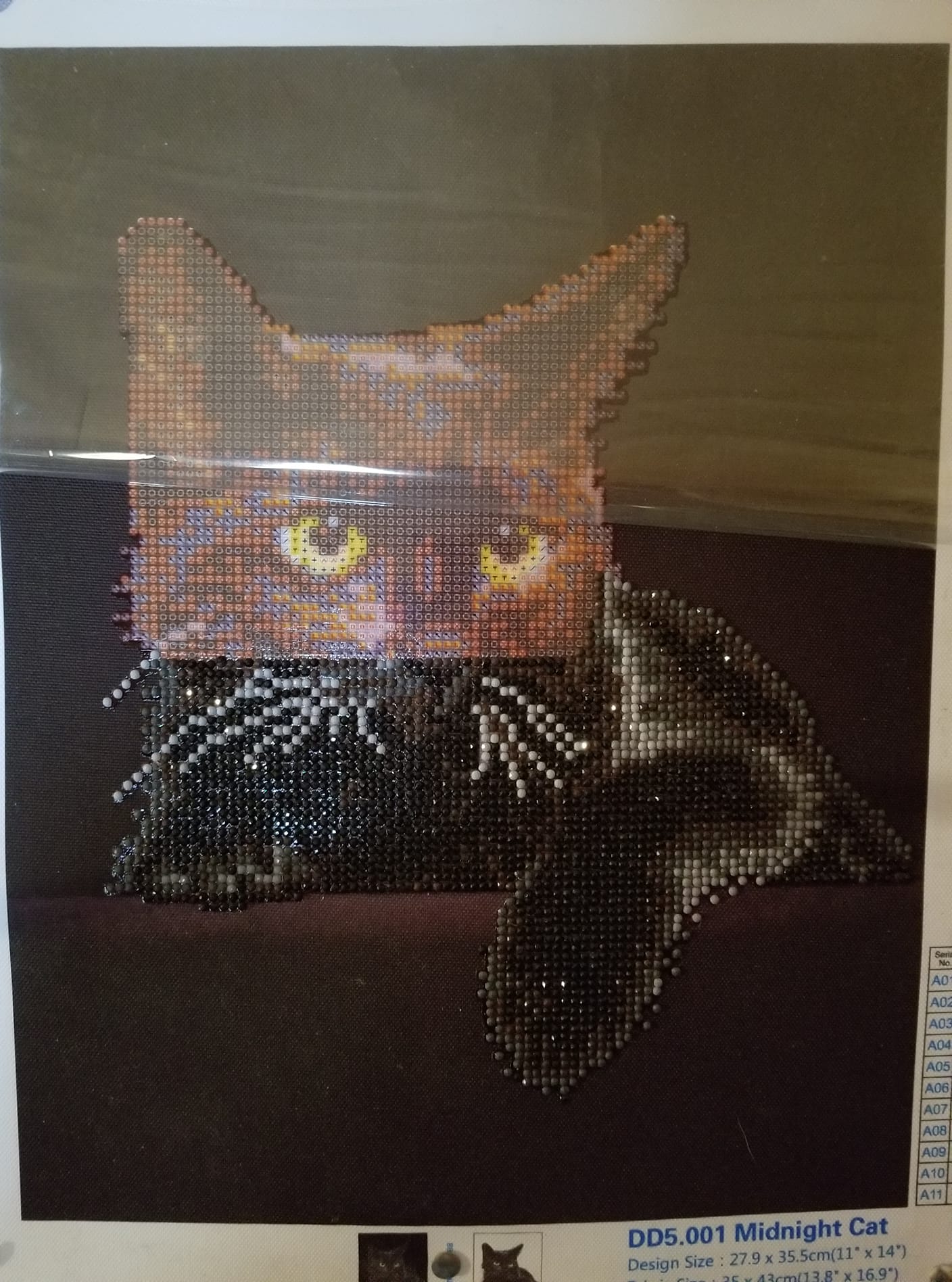 Starting Diamond Painting's Black Cat by Candle Light