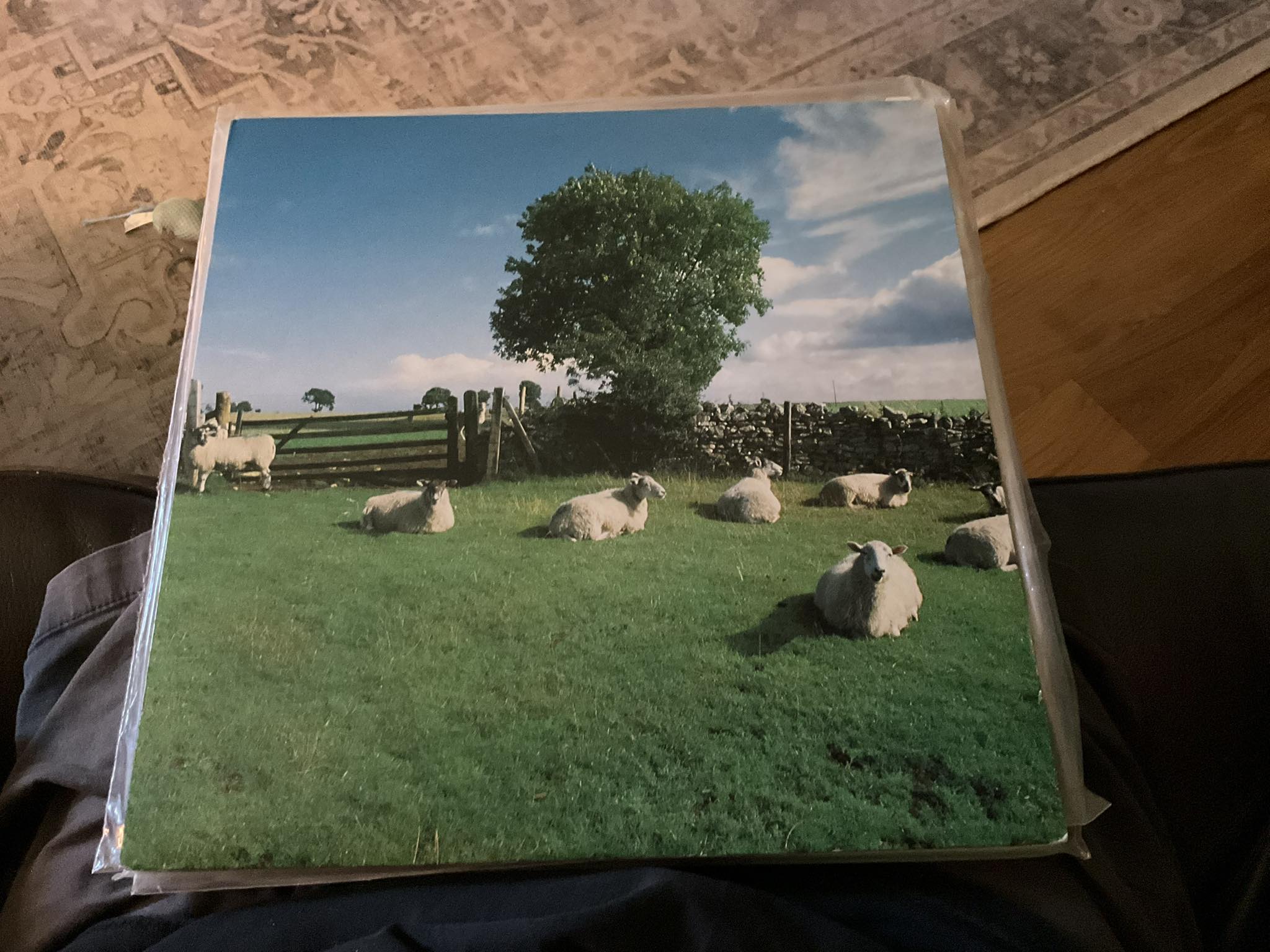The KLF's Chill Out, a landmark ambient album