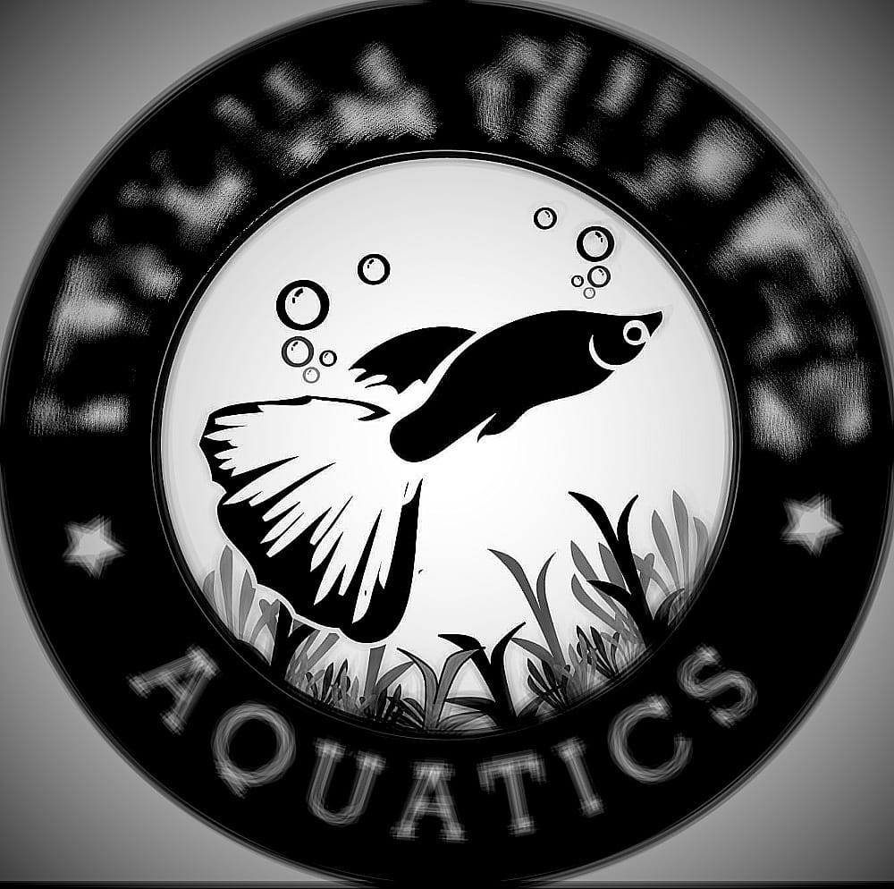 Fish Keeper and Breeder(ROXAS CITY) | PTPA. GloFish Tetra's | Facebook