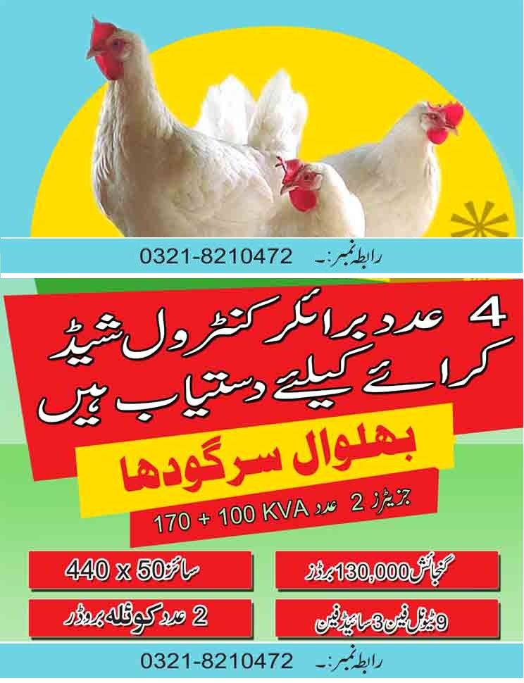 Poultryshed | Sargodha