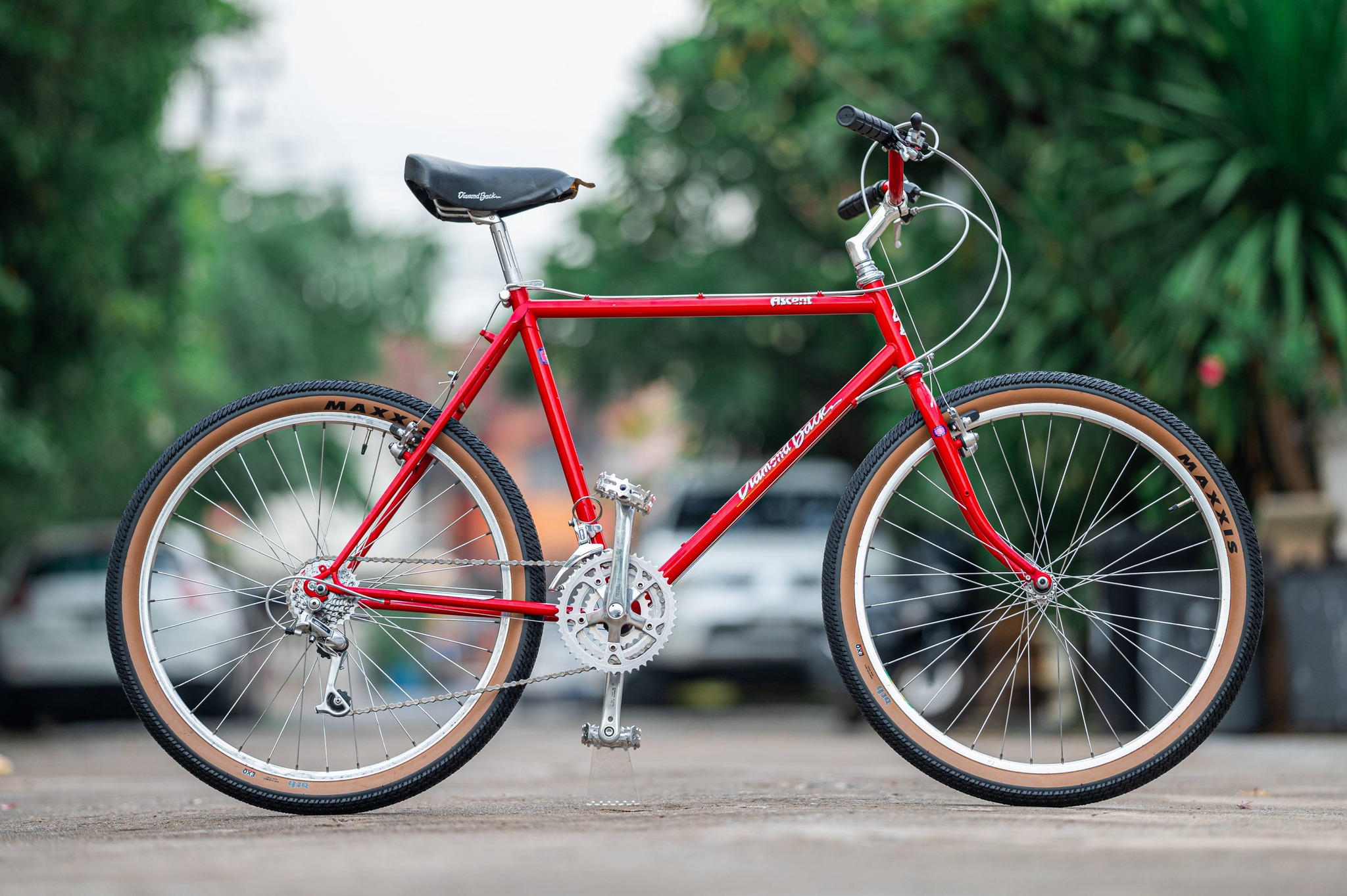 Diamondback Ascent 1986